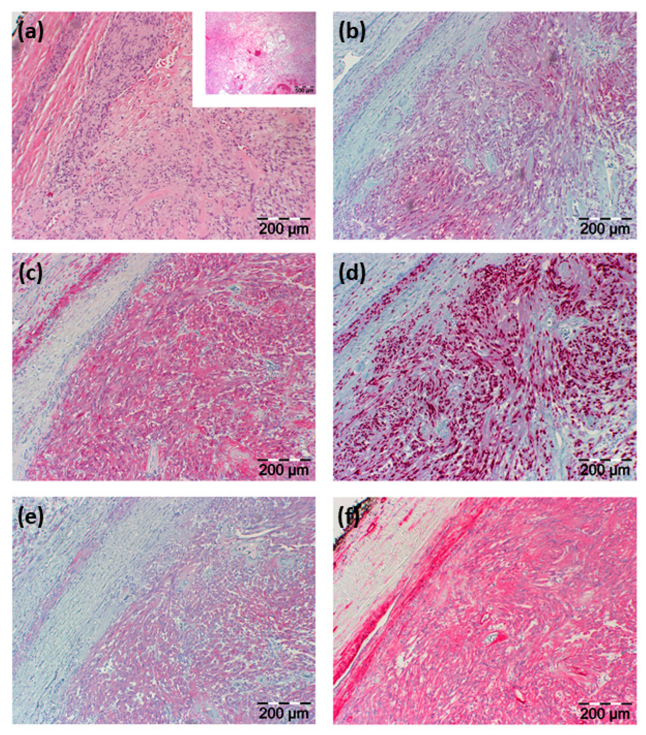 Diagnostics 12 02122 g003