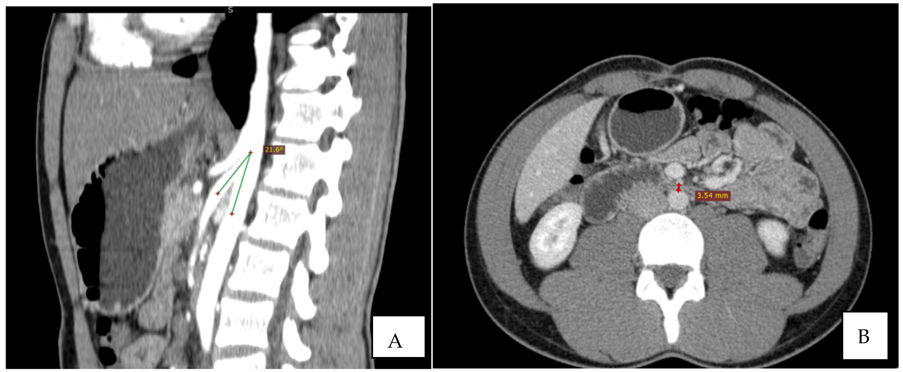 Diagnostics 12 02159 g003