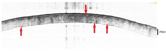 Diagnostics 12 02169 g002