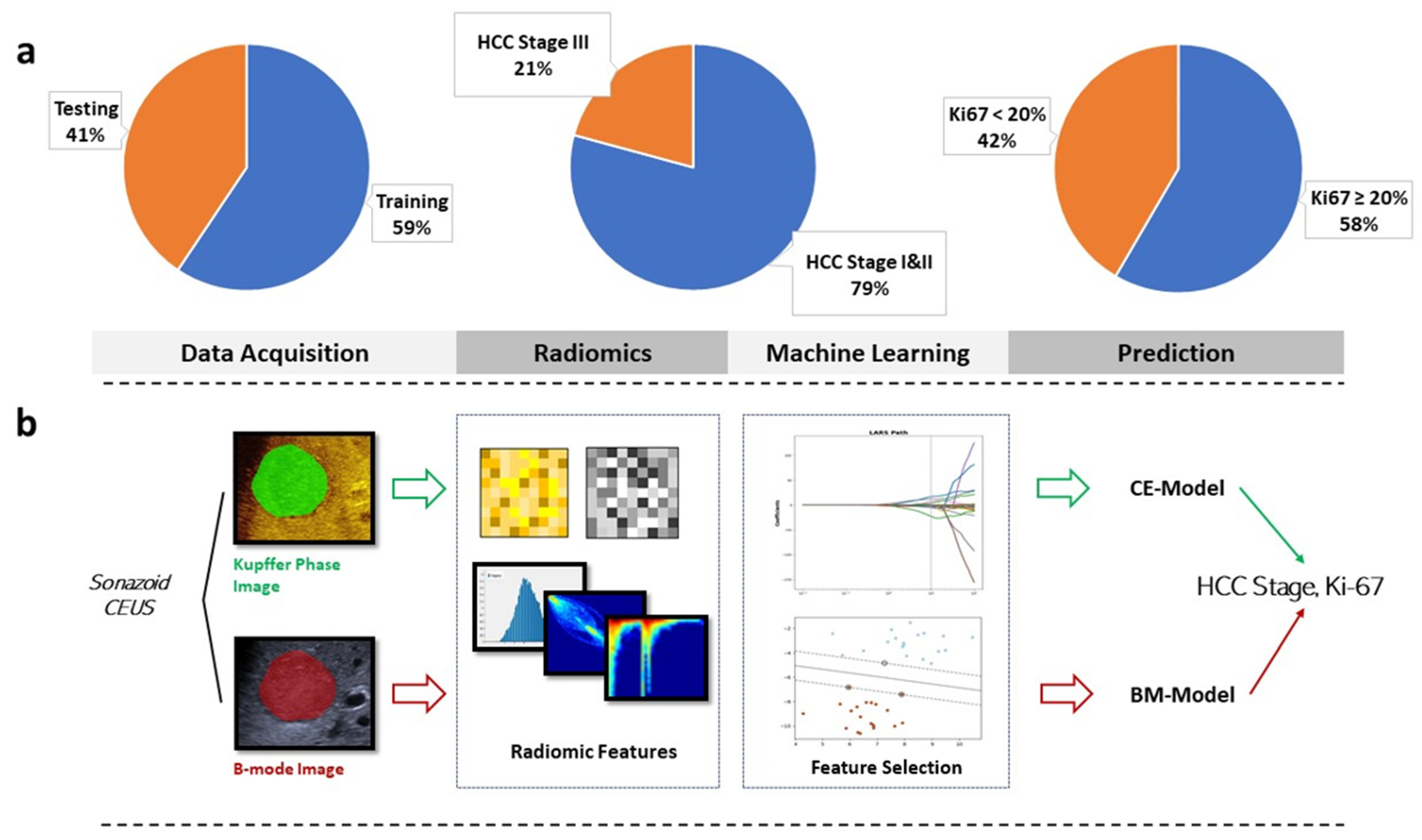Diagnostics 12 02175 g001