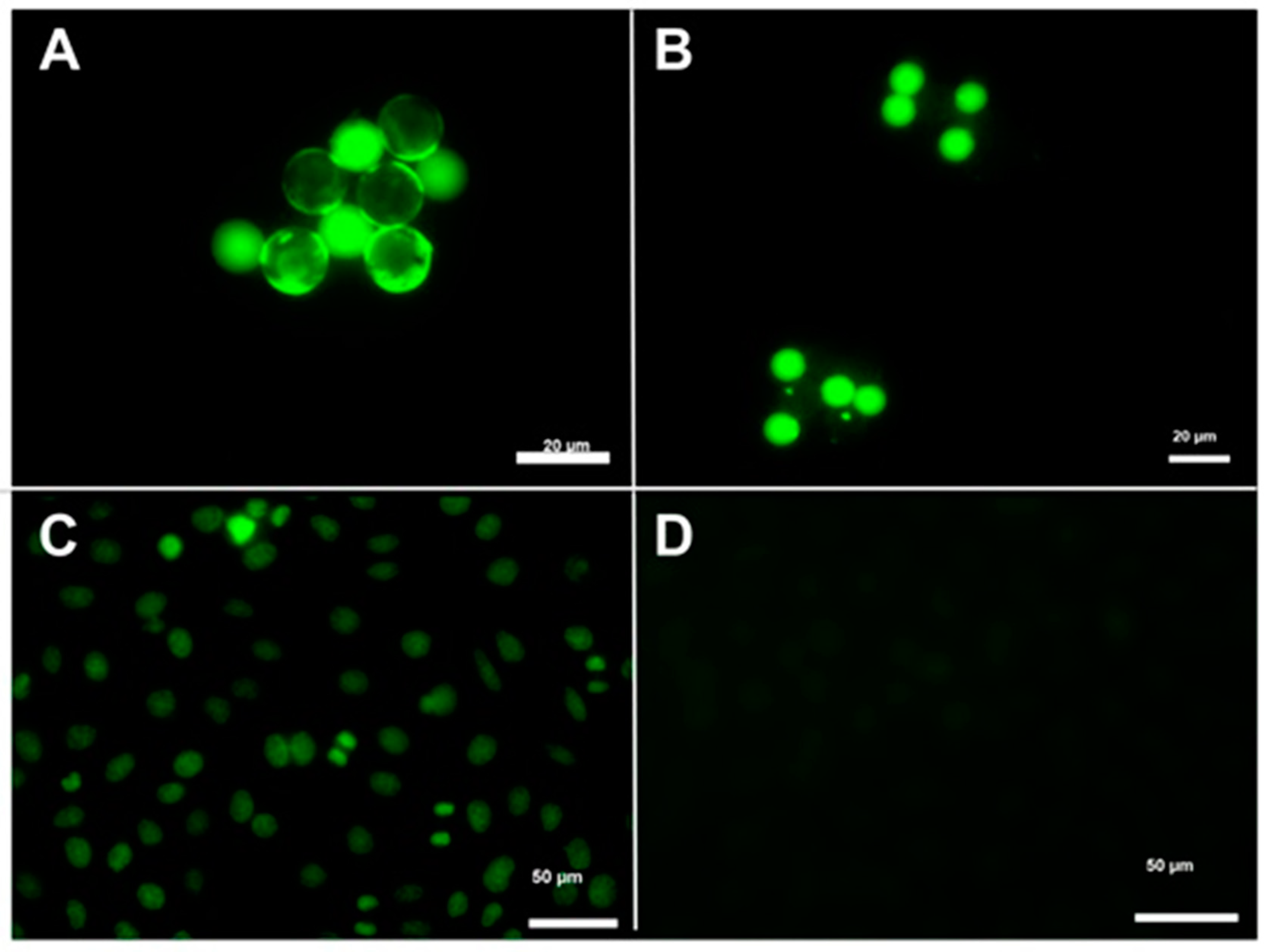 Diagnostics 12 02181 g002 Diagnostics 12 02181 g002