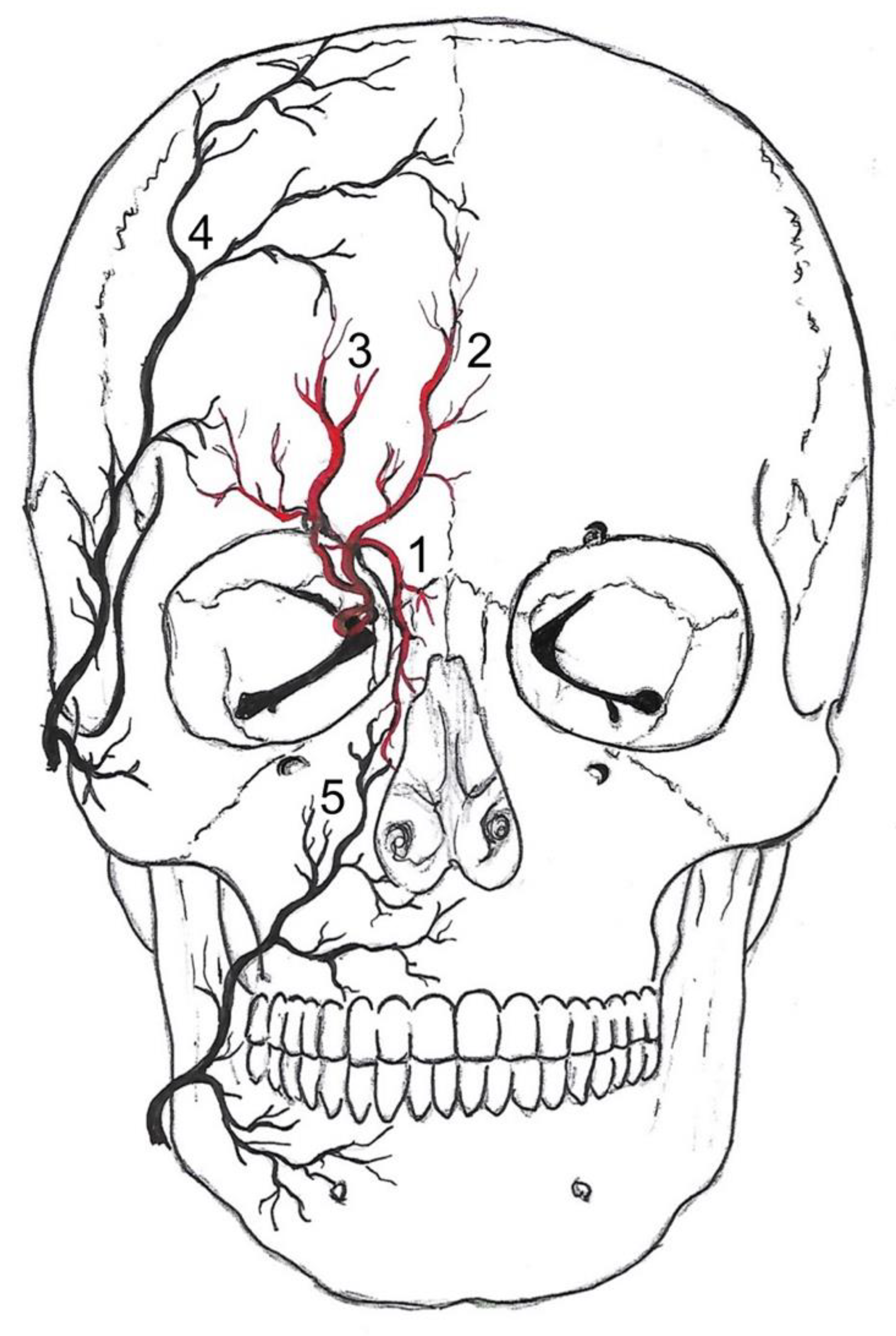 Diagnostics 12 02185 g001