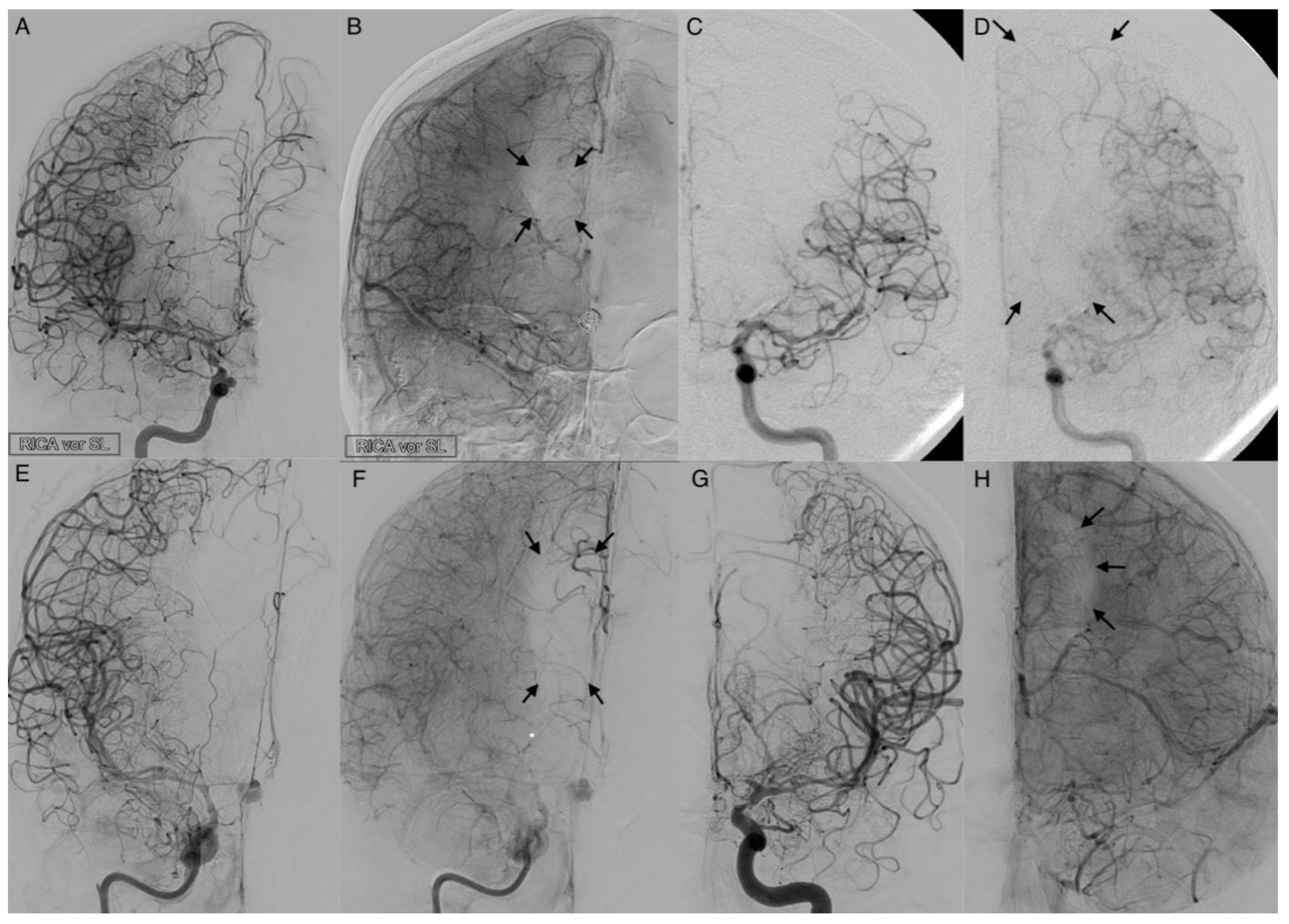 Diagnostics 12 02185 g005