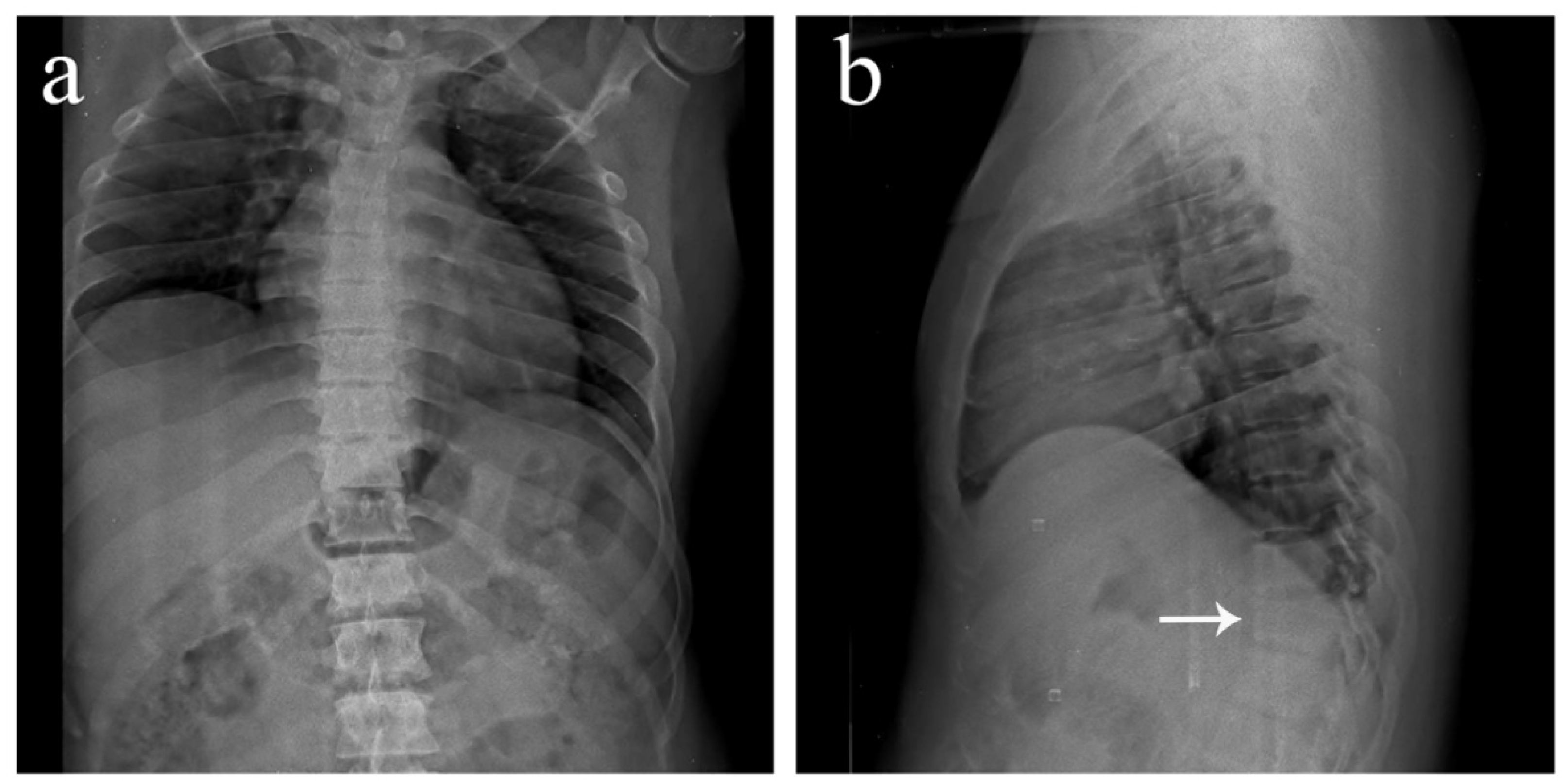 Diagnostics 12 02190 g001a