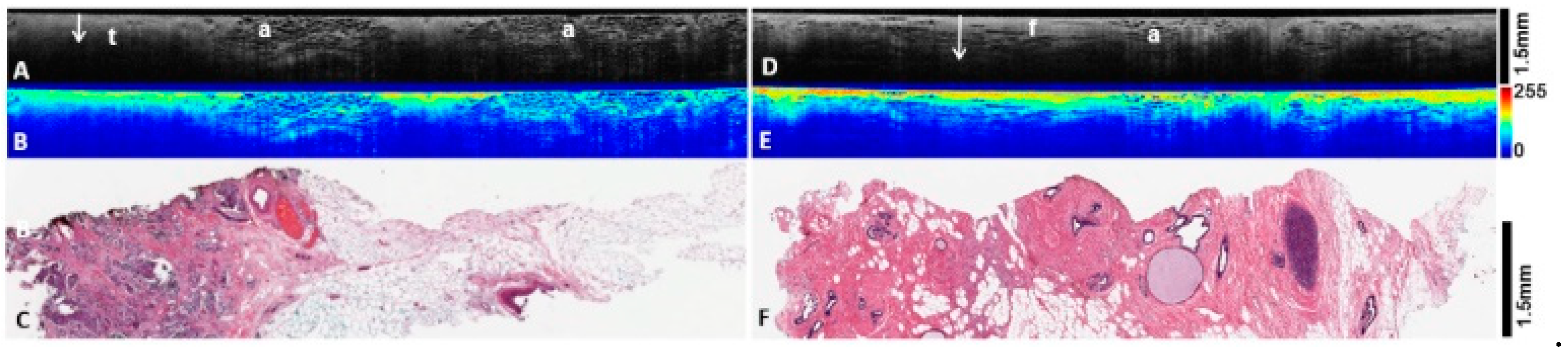 Diagnostics 12 02191 g004