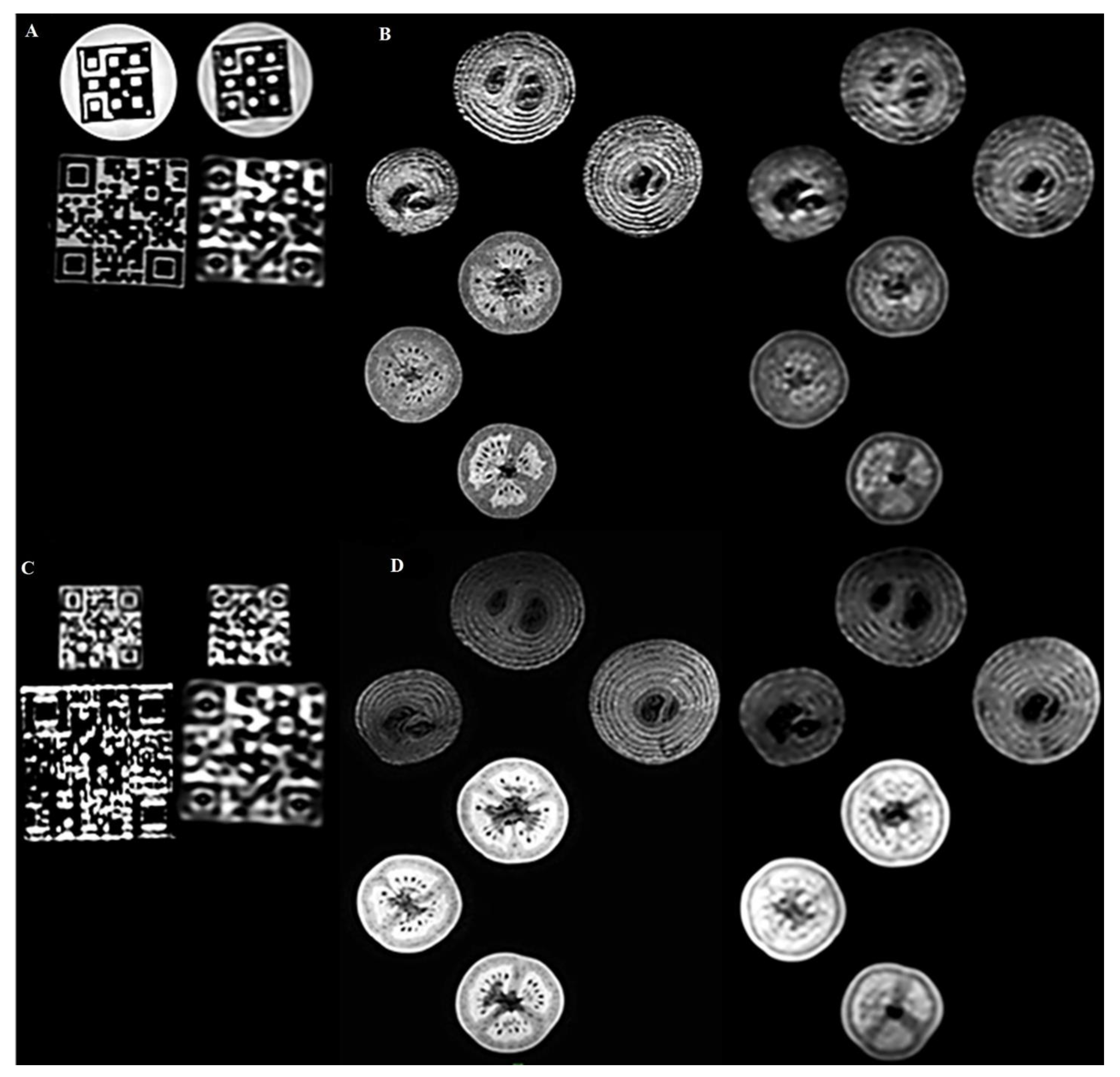 Diagnostics 12 02196 g004