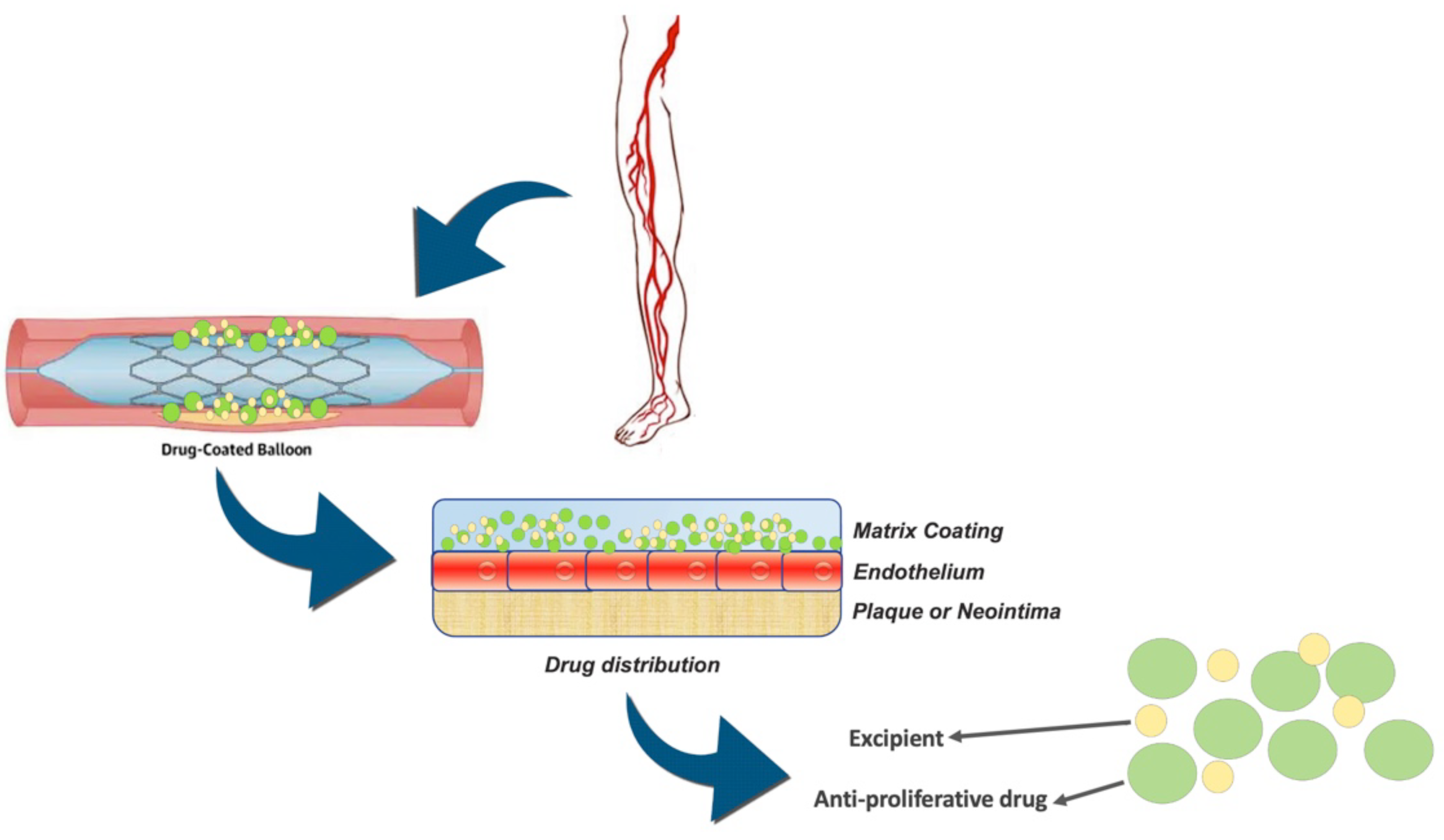 Diagnostics 12 02207 g001