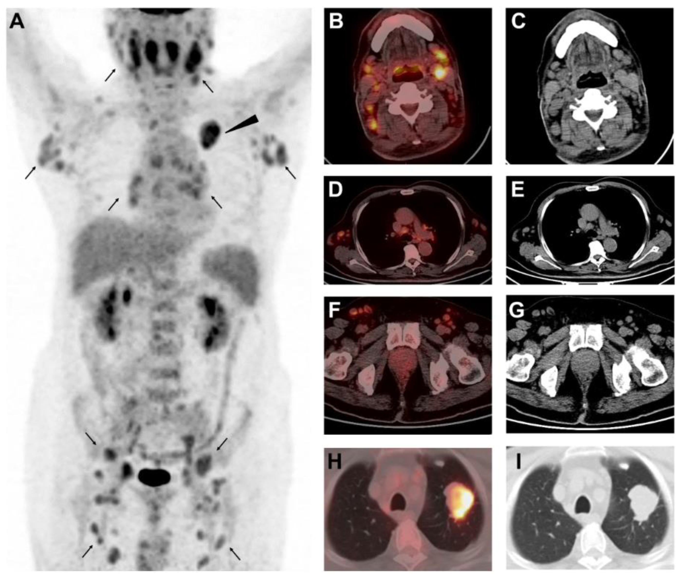 Diagnostics 12 02211 g001