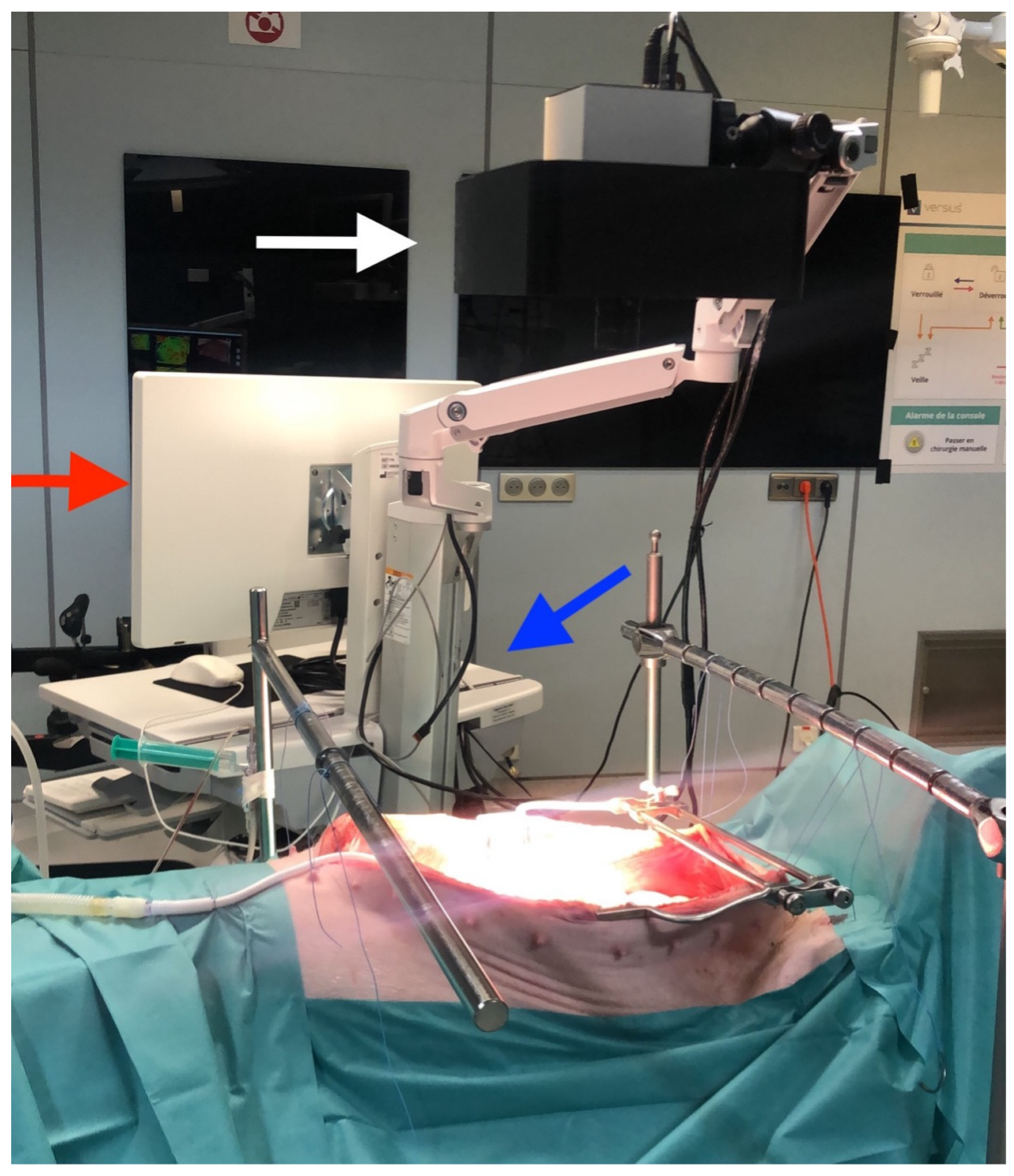 Diagnostics 12 02225 g001