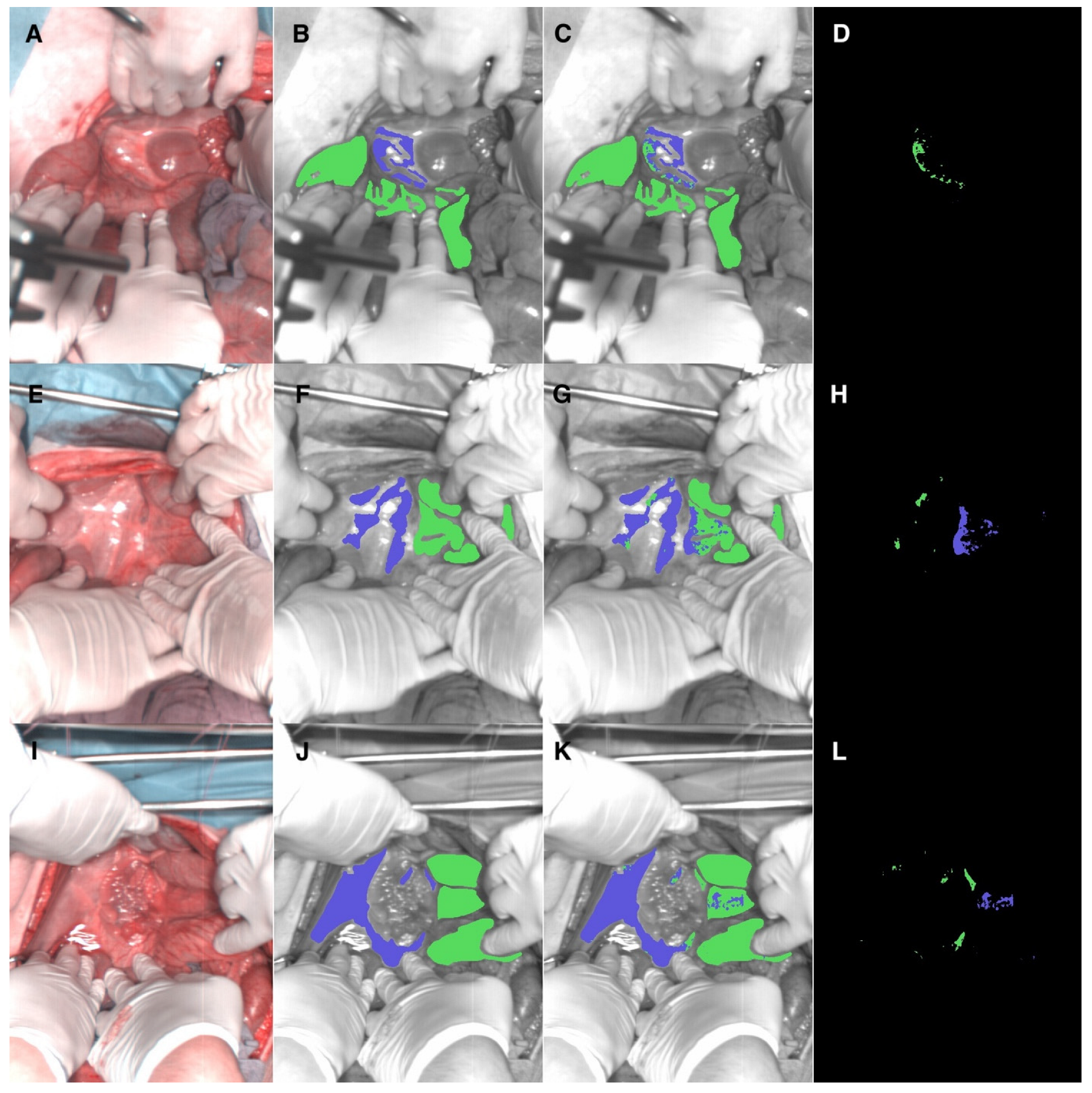 Diagnostics 12 02225 g002