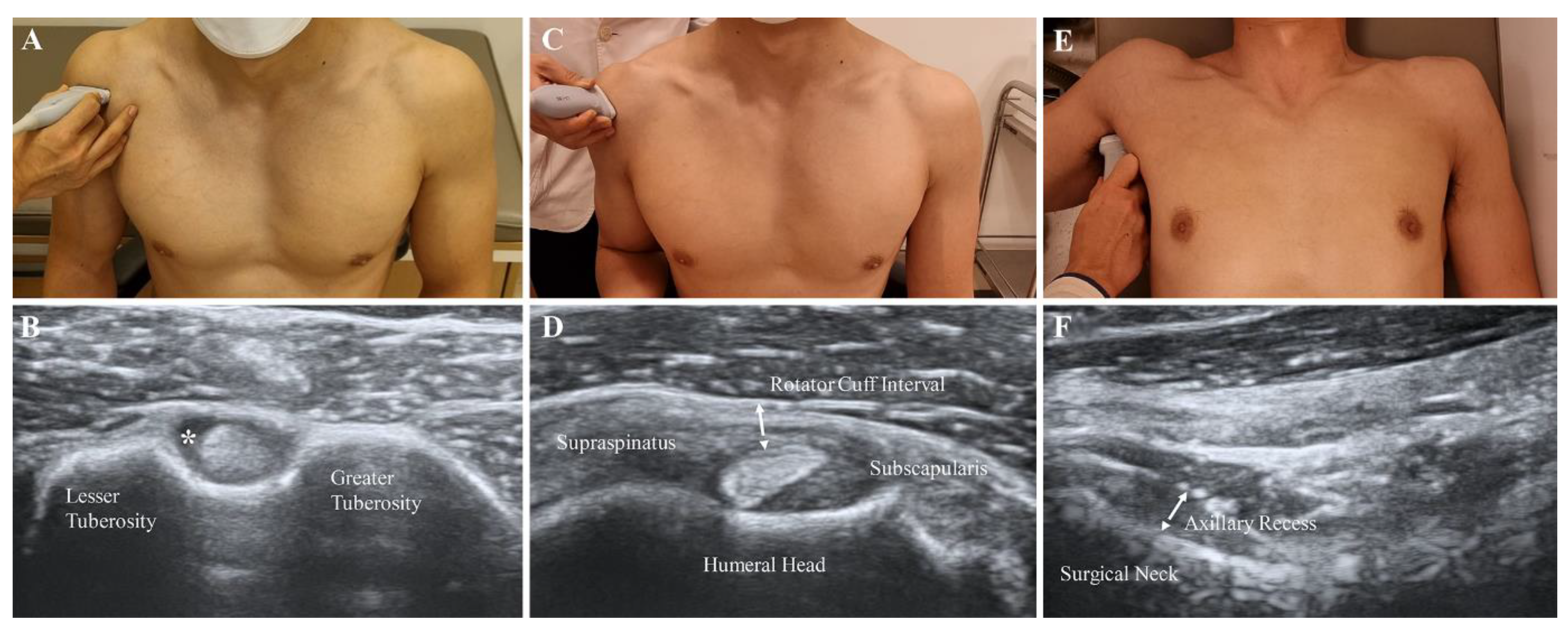 Diagnostics 12 02231 g002