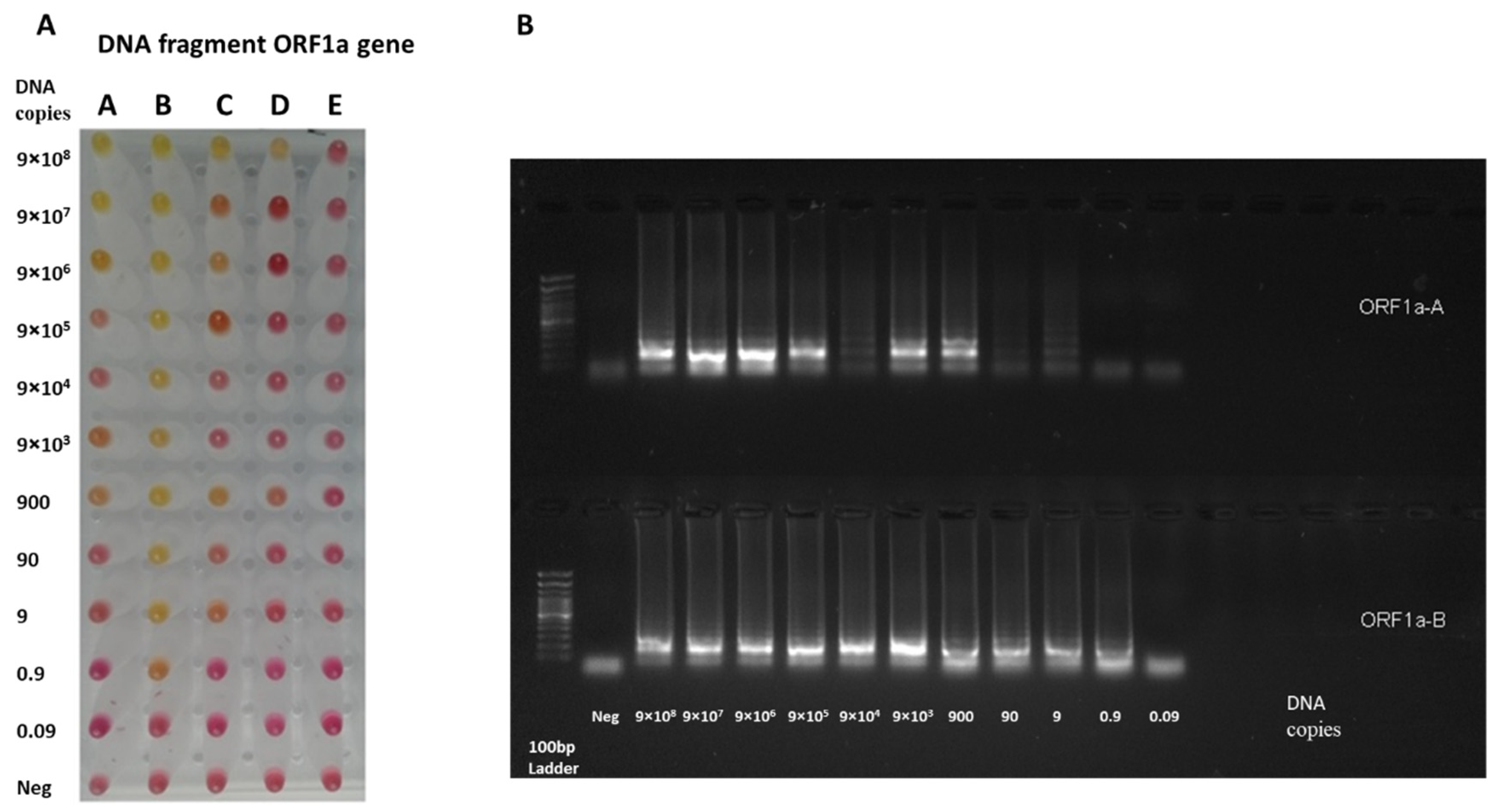 Diagnostics 12 02232 g003 Diagnostics 12 02232 g003