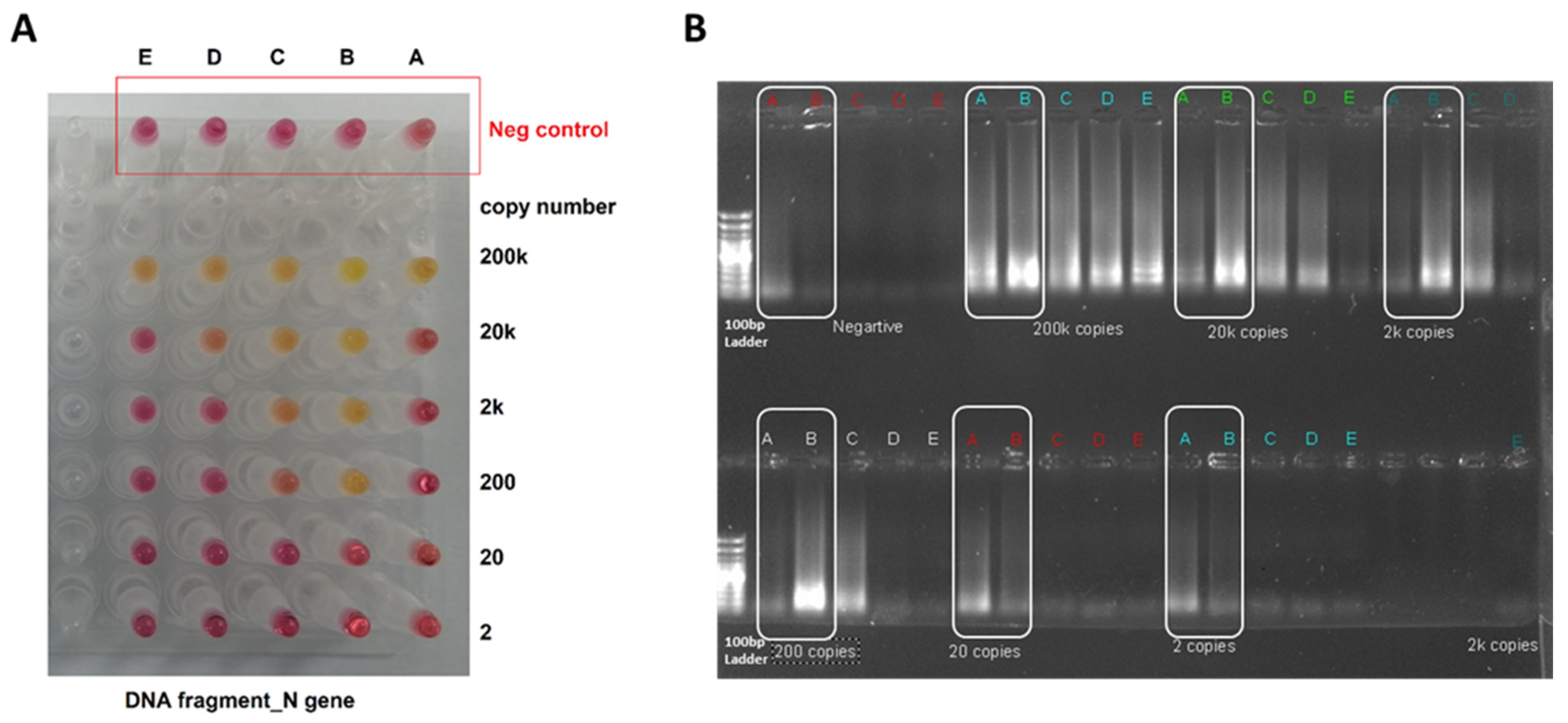 Diagnostics 12 02232 g004 Diagnostics 12 02232 g004