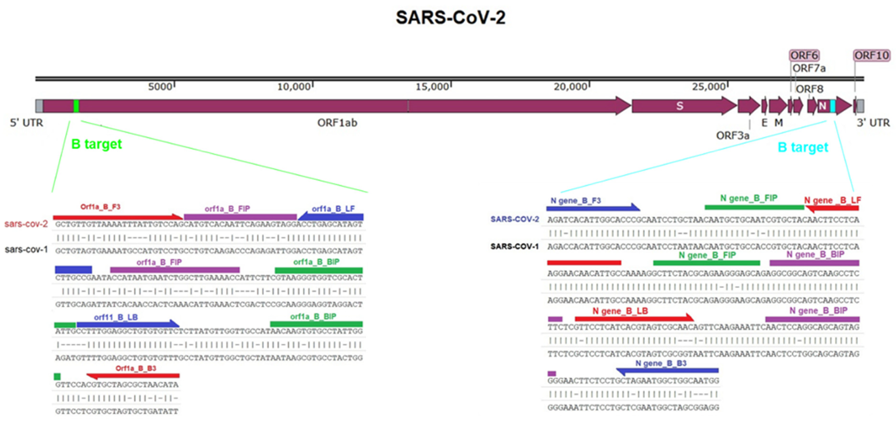 Diagnostics 12 02232 g005 Diagnostics 12 02232 g005