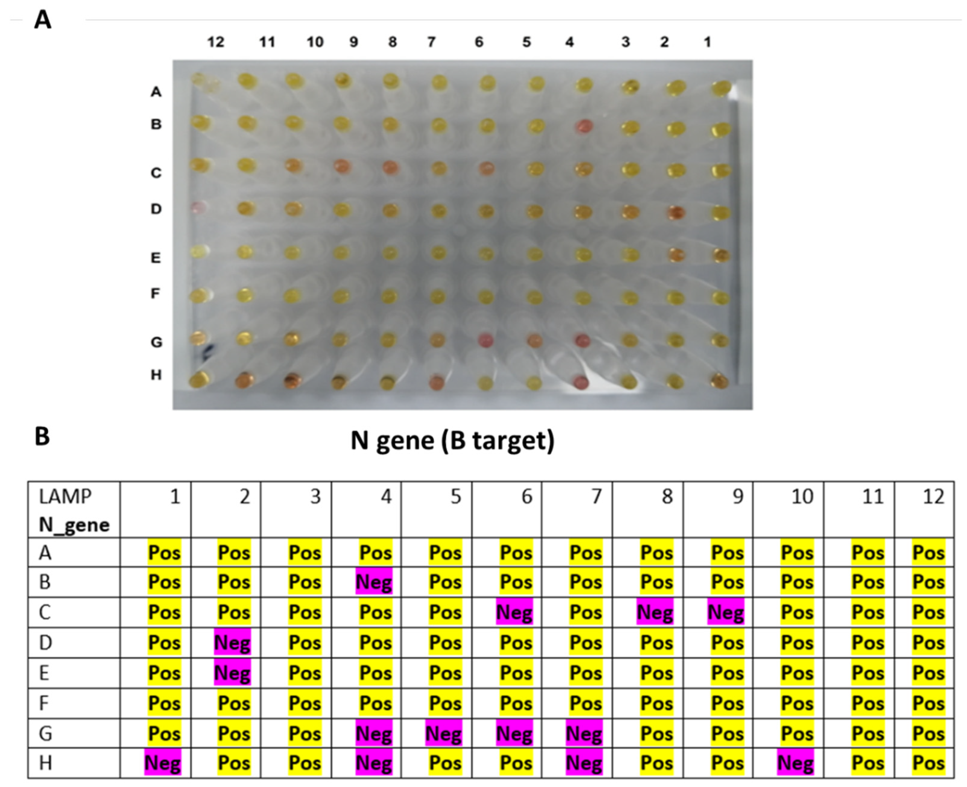 Diagnostics 12 02232 g009 Diagnostics 12 02232 g009