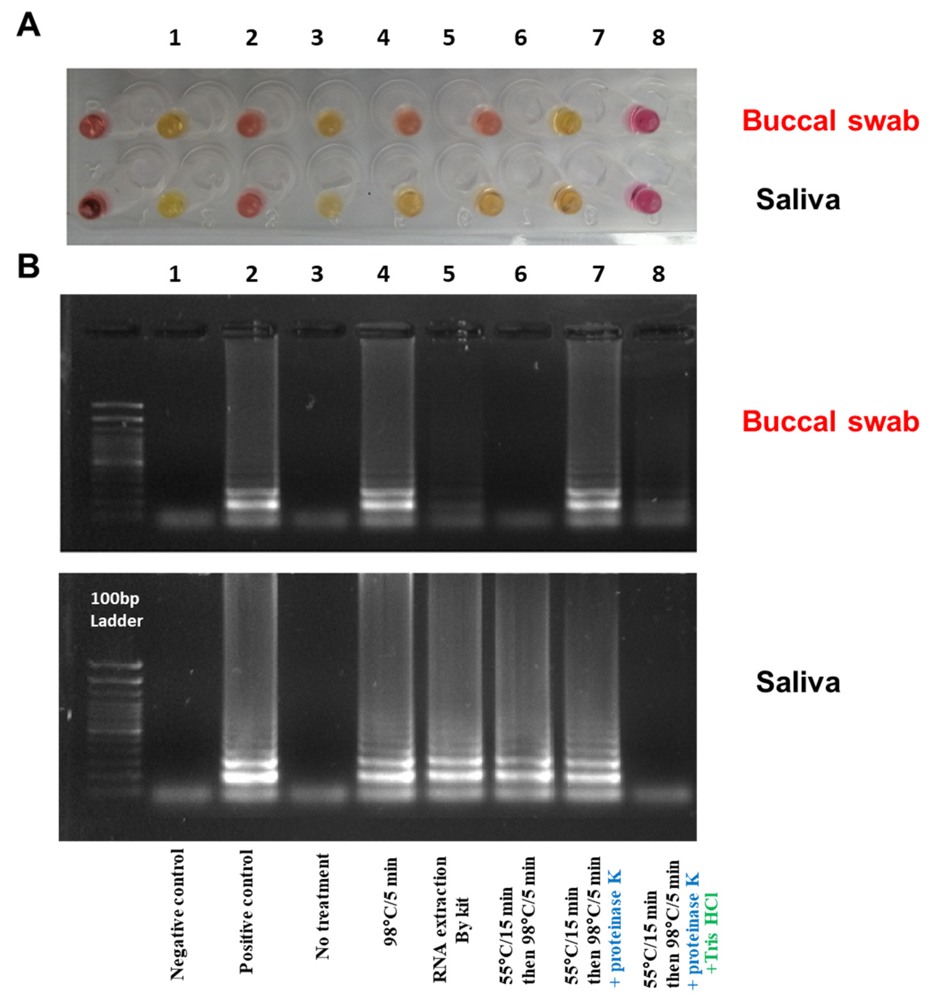 Diagnostics 12 02232 g010 Diagnostics 12 02232 g010