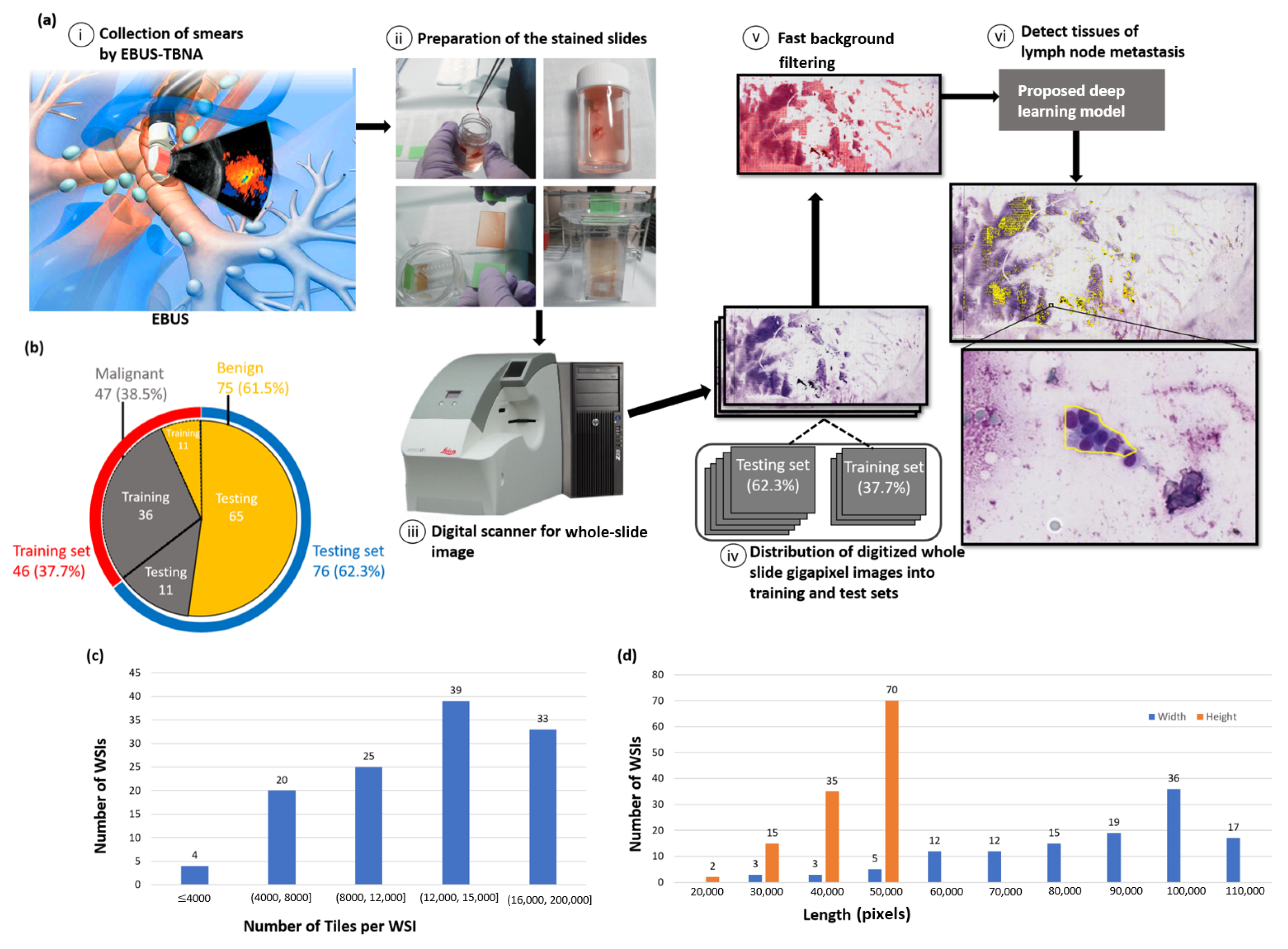 Diagnostics 12 02234 g001
