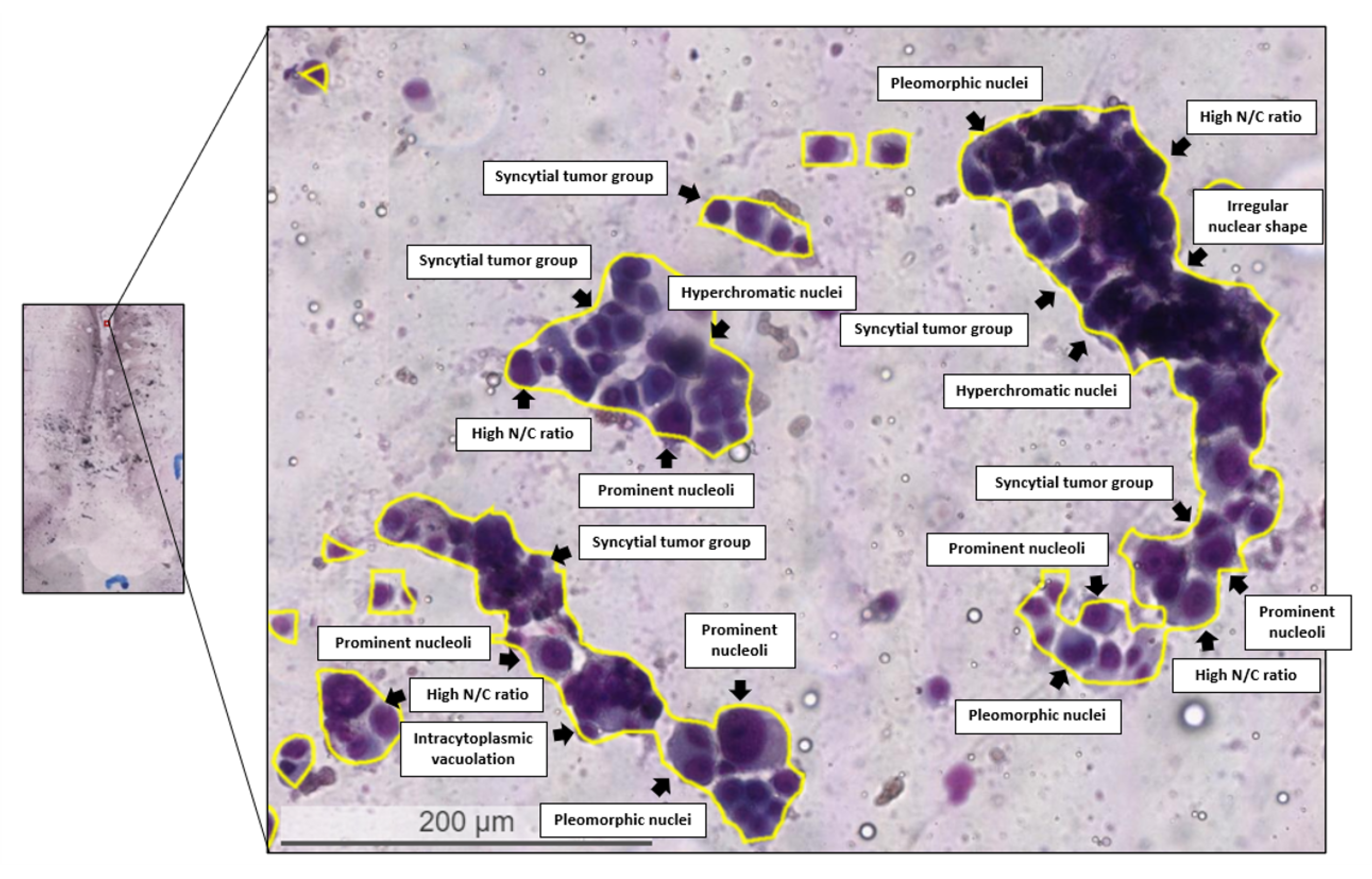 Diagnostics 12 02234 g008