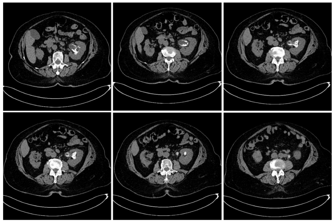 Diagnostics 12 02239 g001