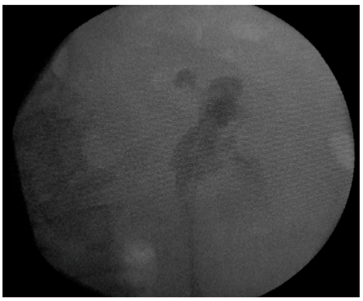 Diagnostics 12 02239 g003