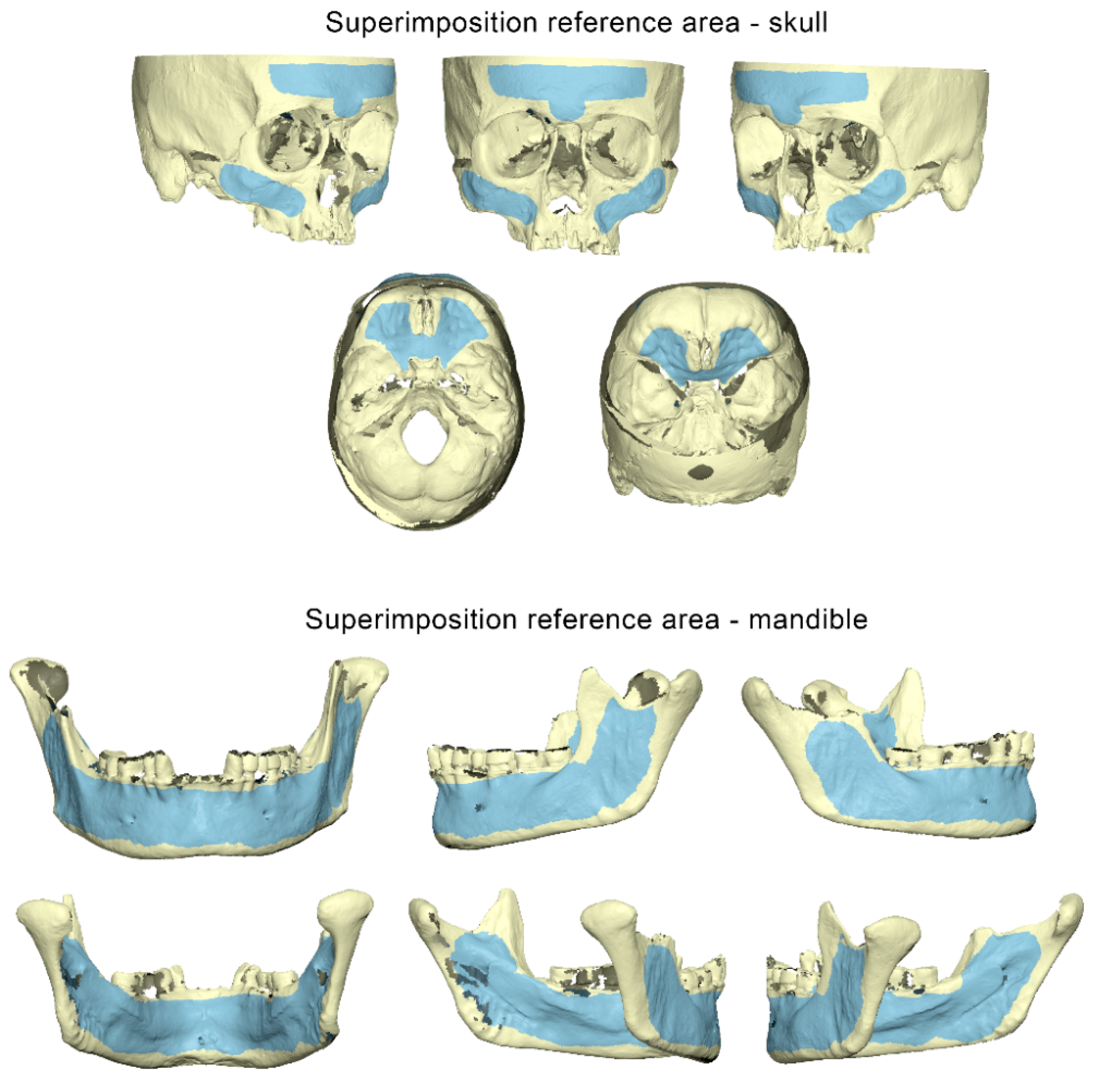 Diagnostics 12 02251 g002