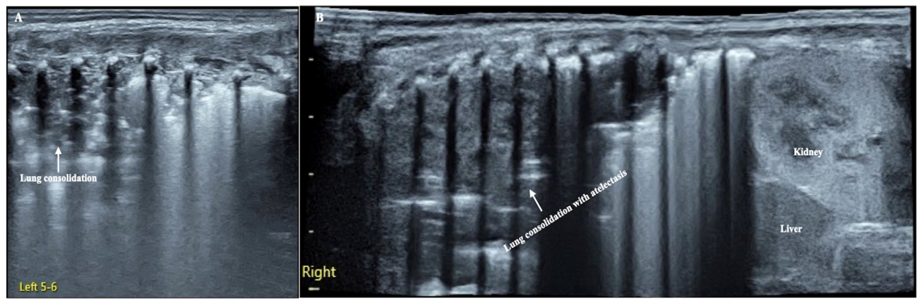Diagnostics 12 02253 g001