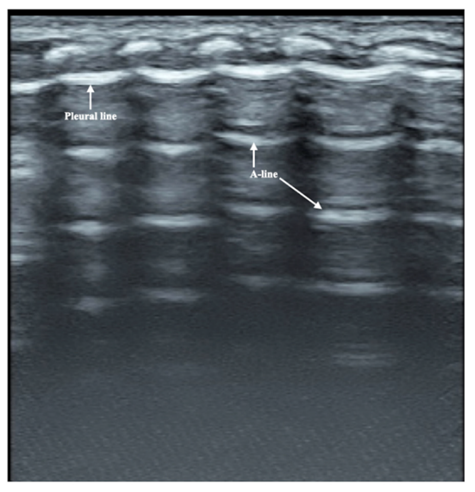 Diagnostics 12 02253 g003