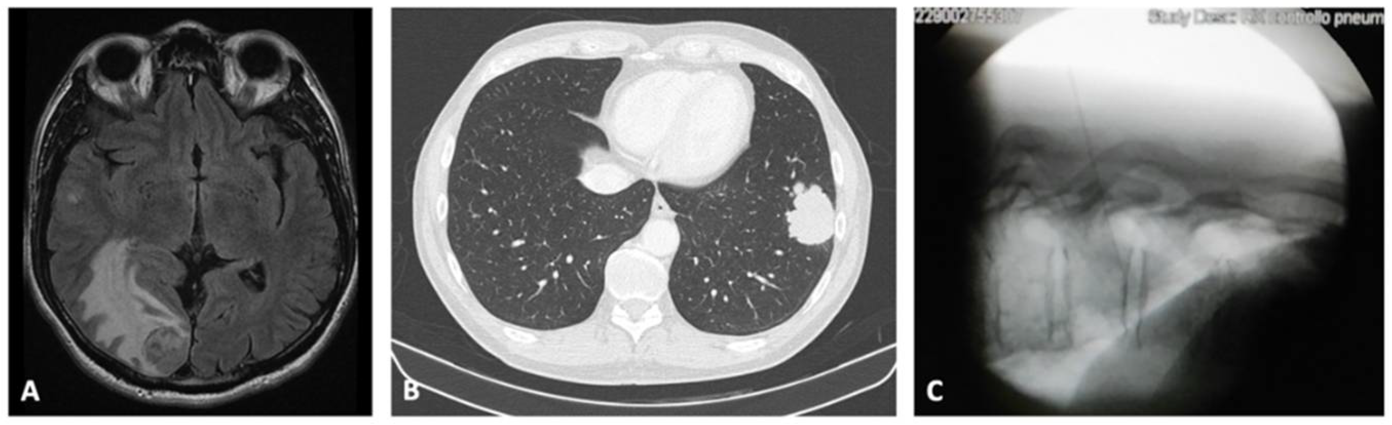 Diagnostics 12 02254 g002