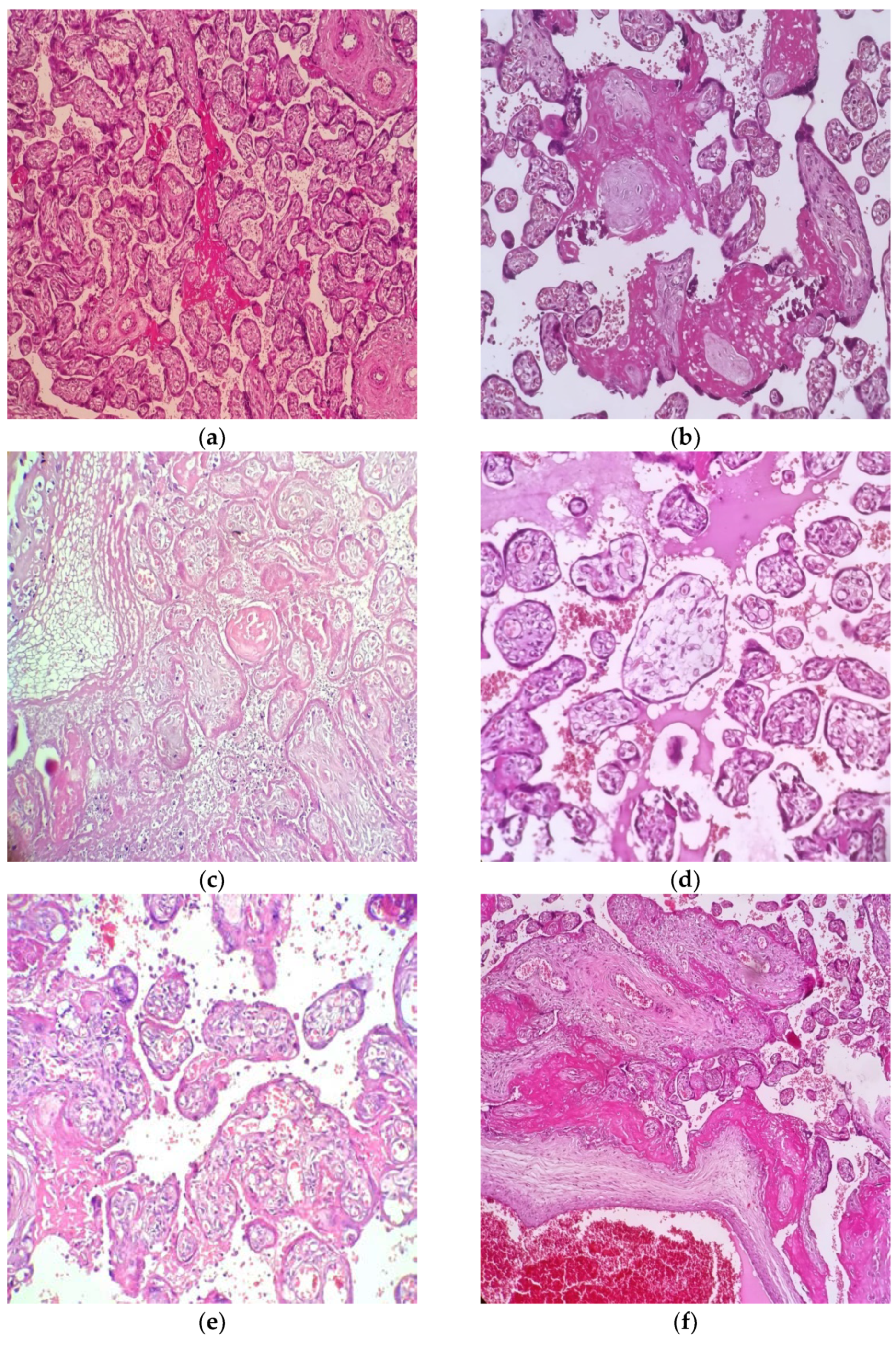 Diagnostics 12 02258 g001