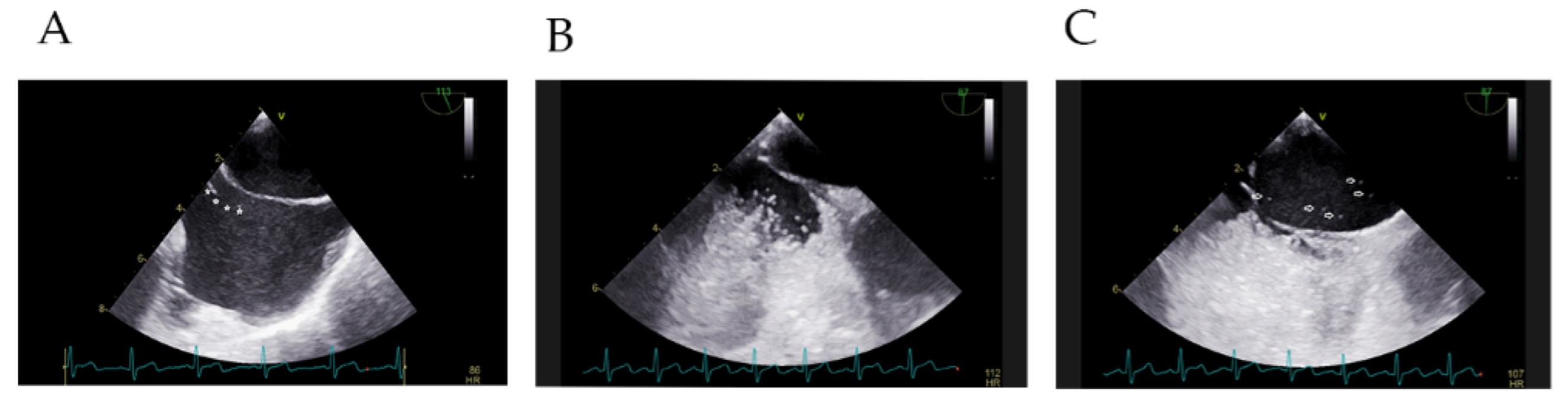 Diagnostics 12 02283 g004 Diagnostics 12 02283 g004