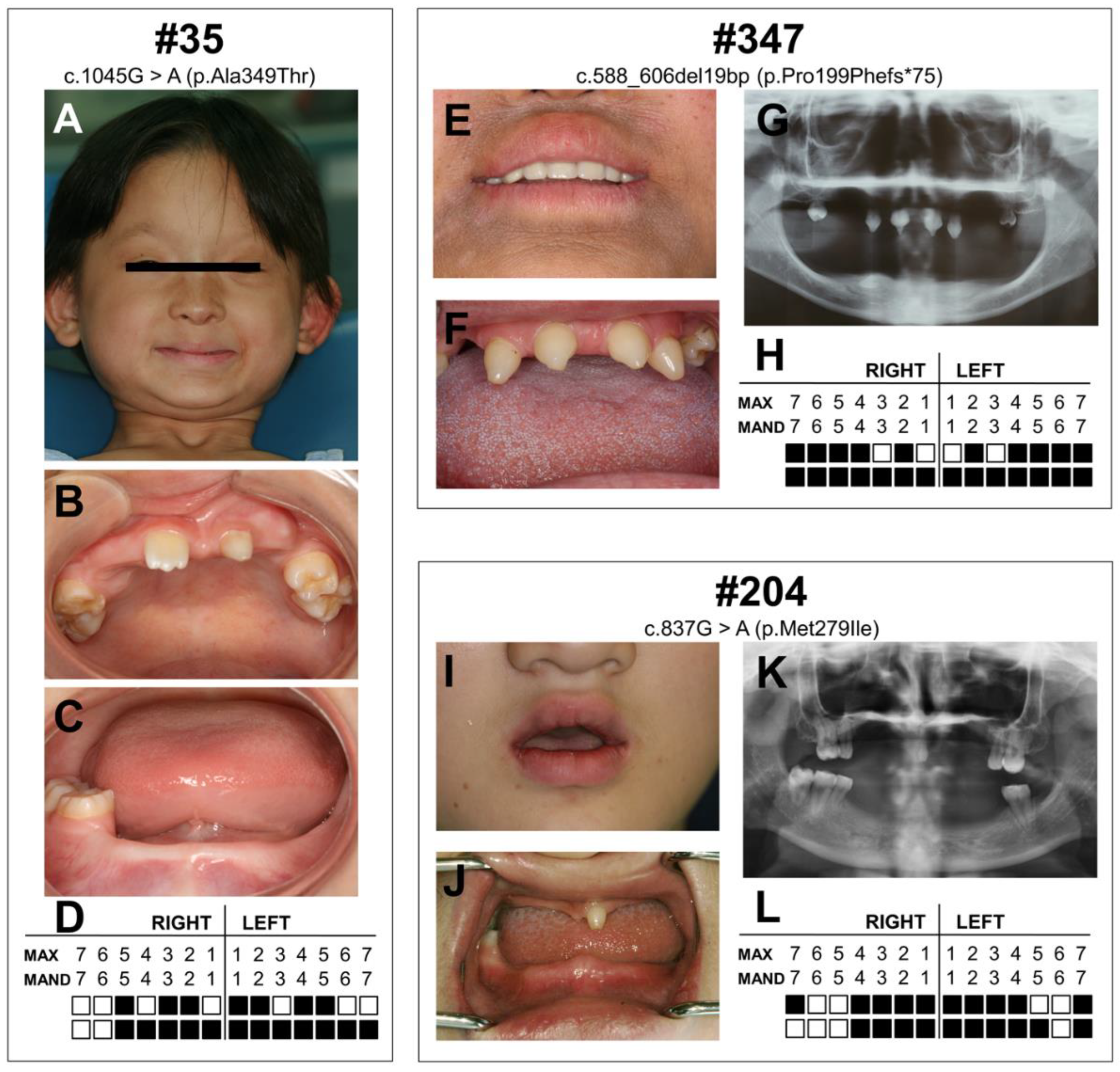 Diagnostics 12 02300 g001