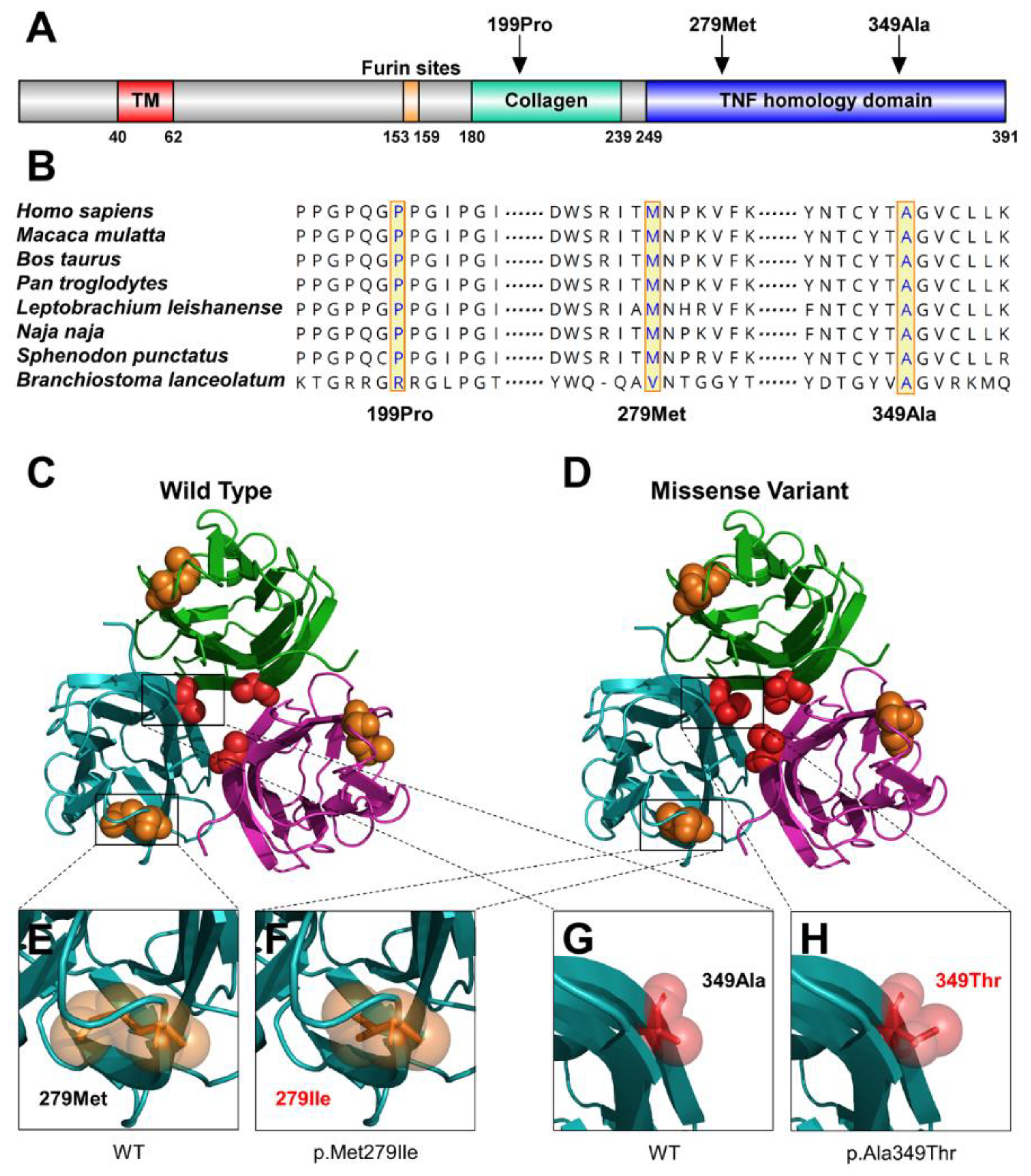Diagnostics 12 02300 g003