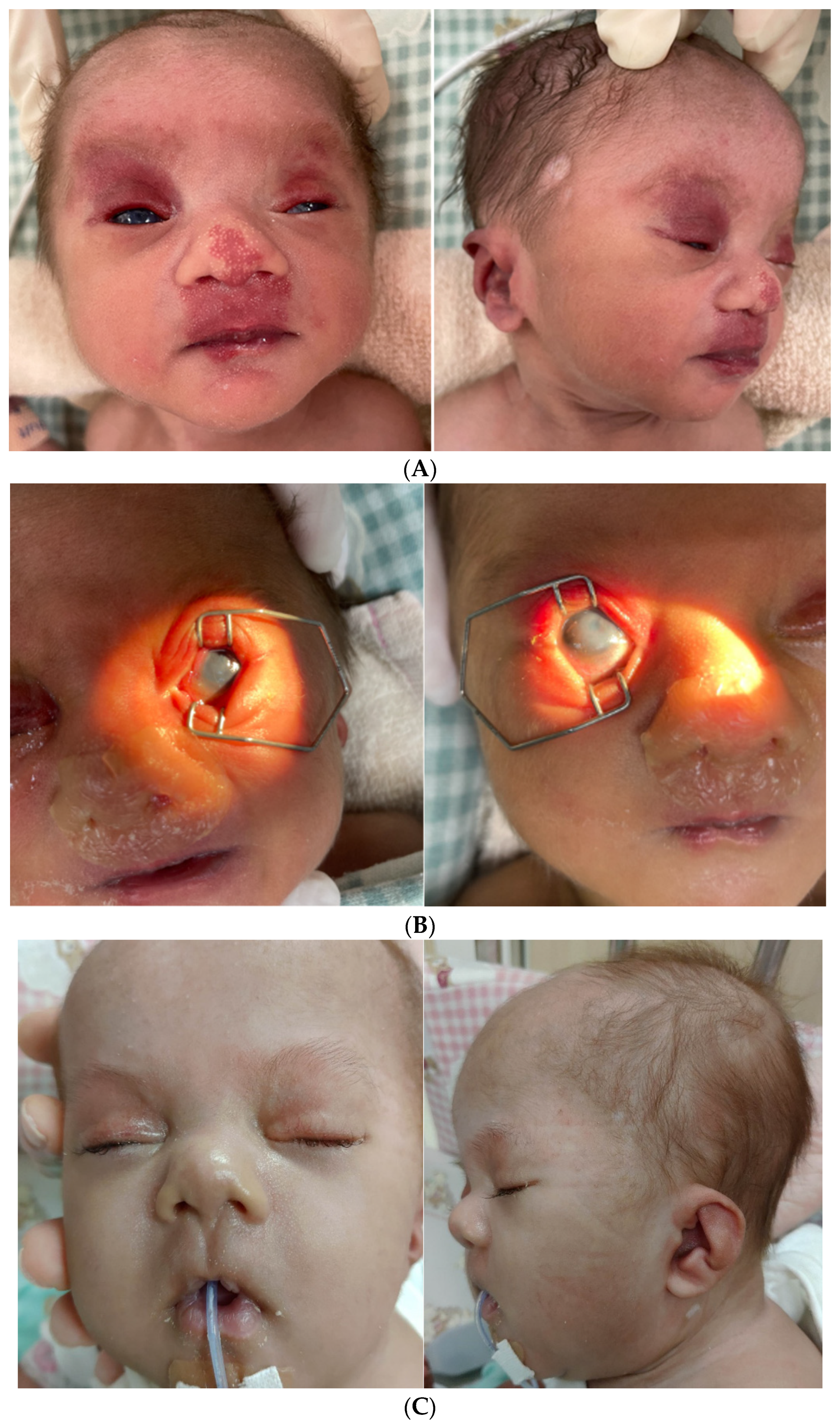 Diagnostics 12 02306 g001 Diagnostics 12 02306 g001