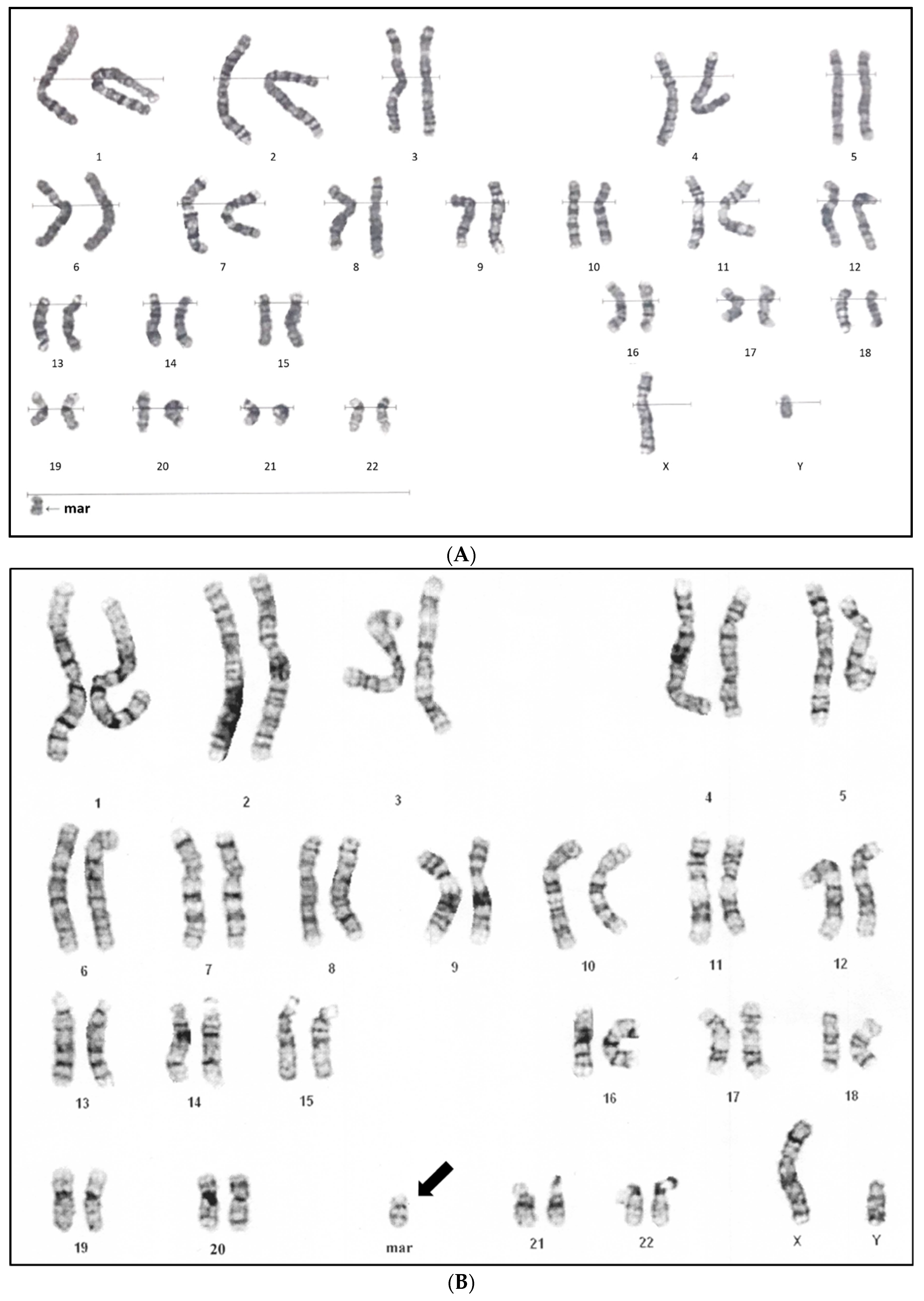 Diagnostics 12 02306 g002a Diagnostics 12 02306 g002a
