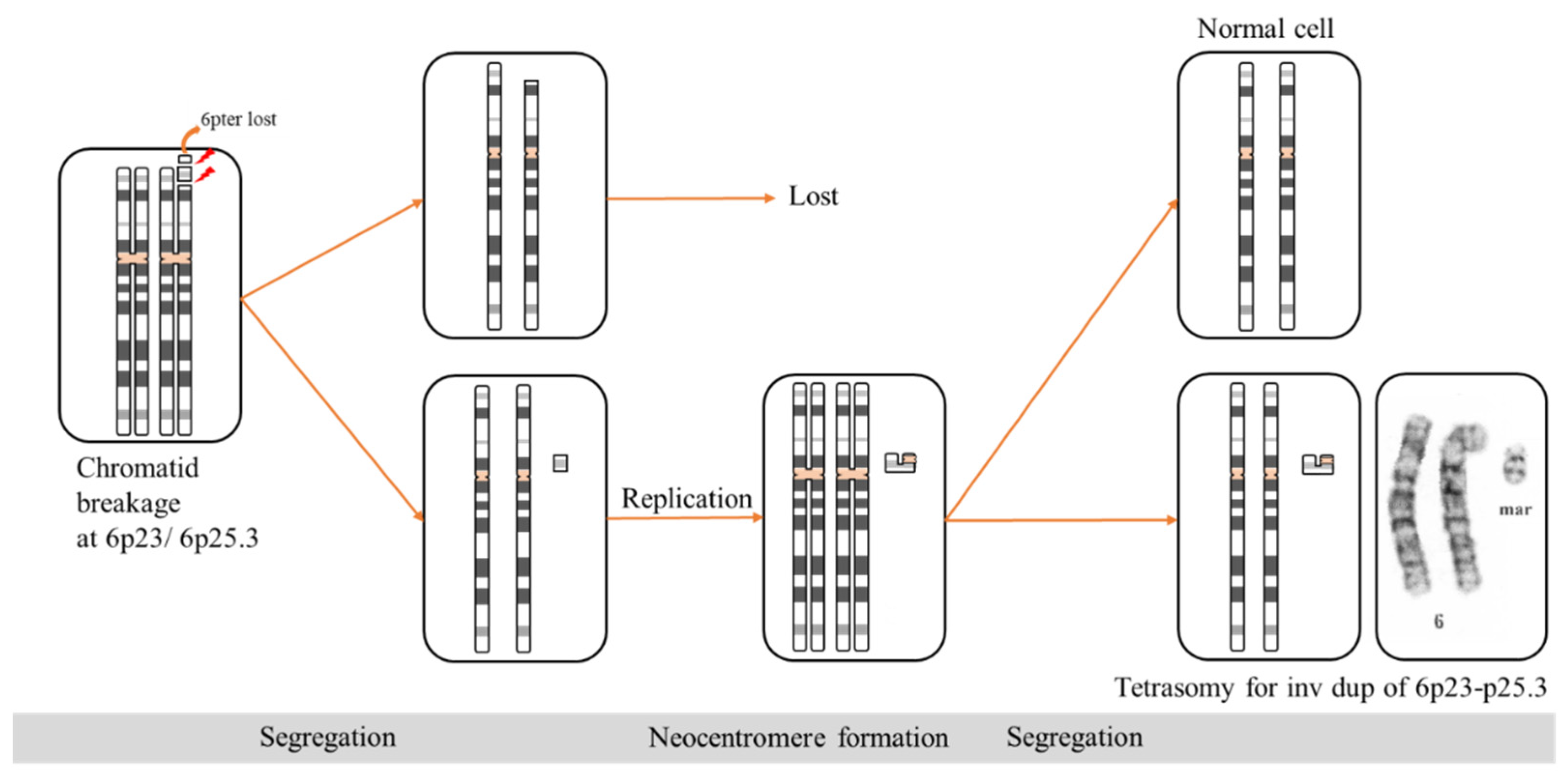 Diagnostics 12 02306 g003 Diagnostics 12 02306 g003