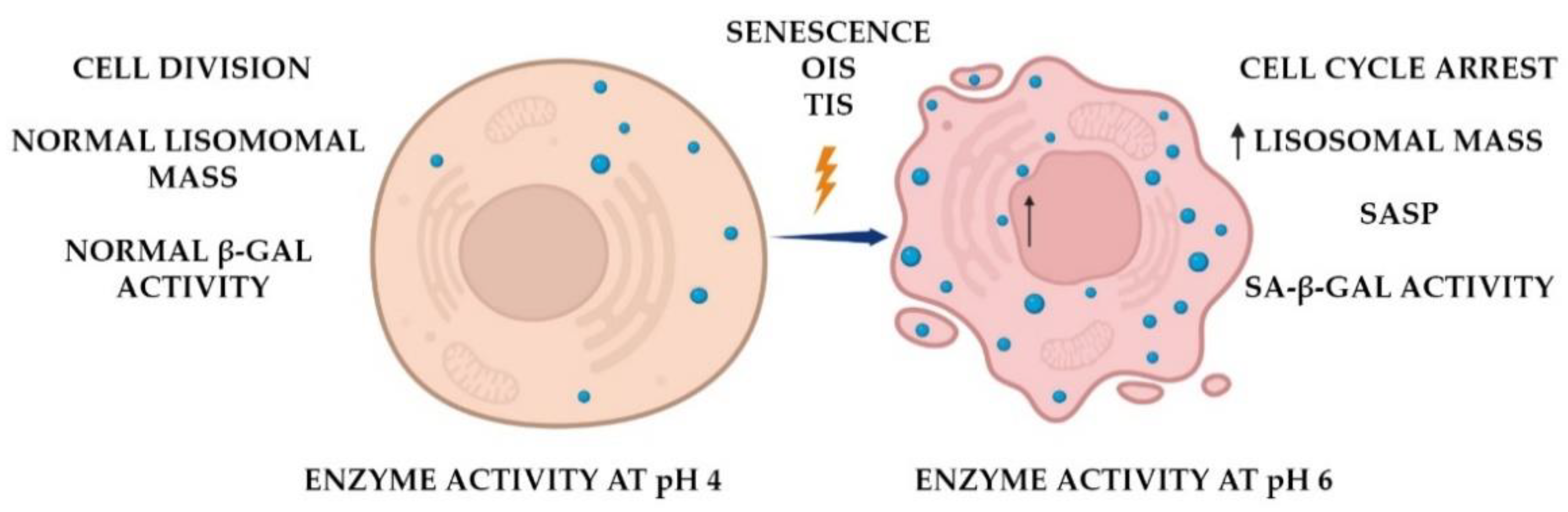 Diagnostics 12 02309 g001