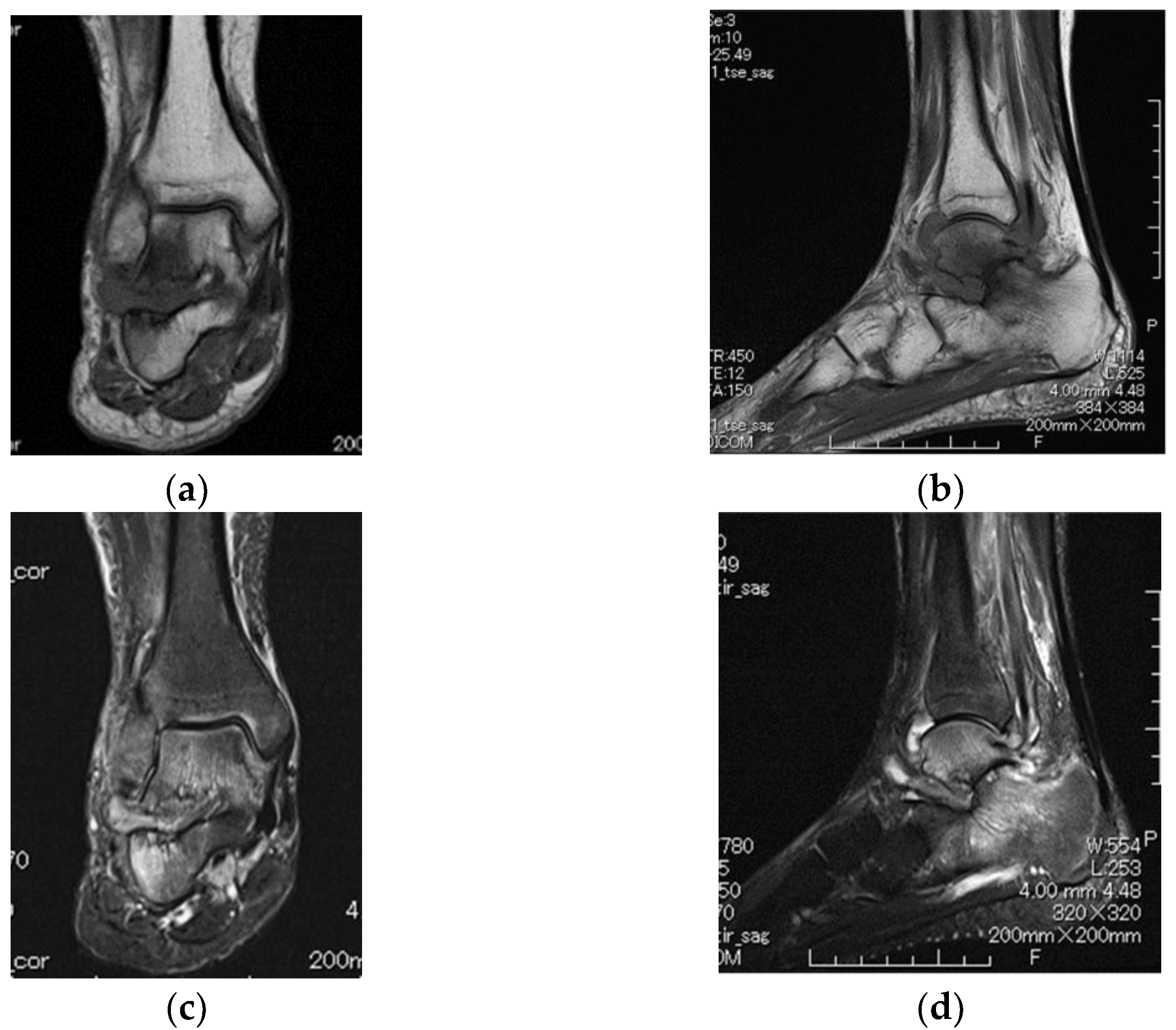 Diagnostics 12 02311 g002