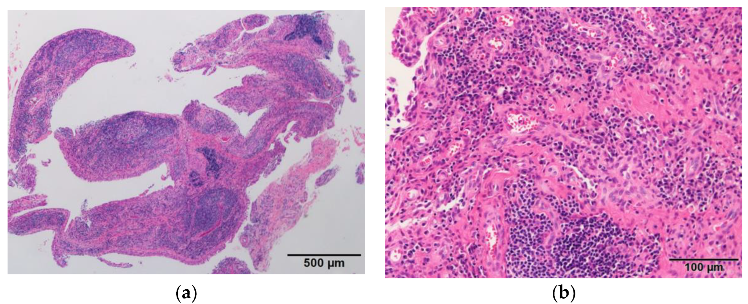 Diagnostics 12 02311 g004