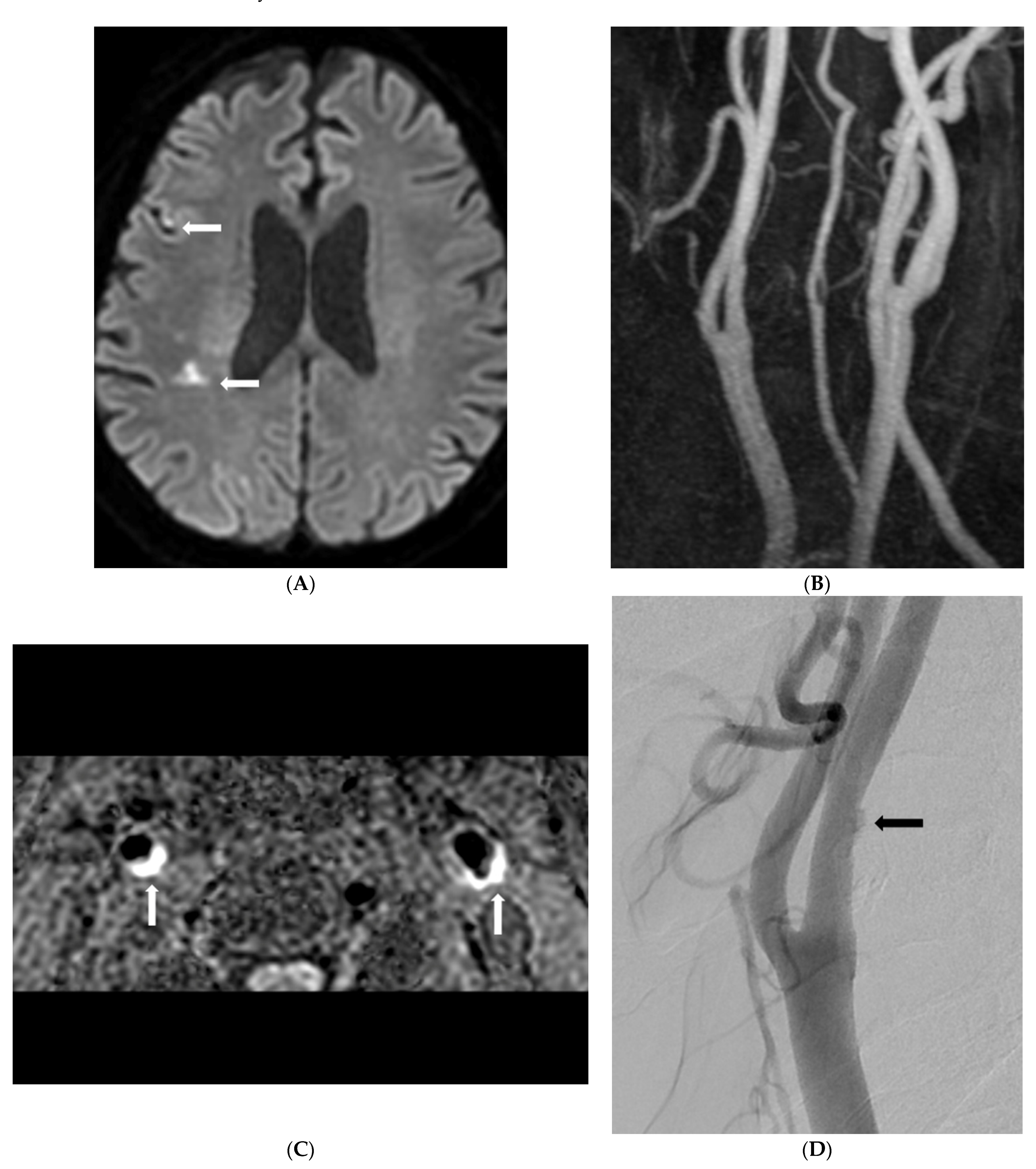 Diagnostics 12 02321 g002a Diagnostics 12 02321 g002a