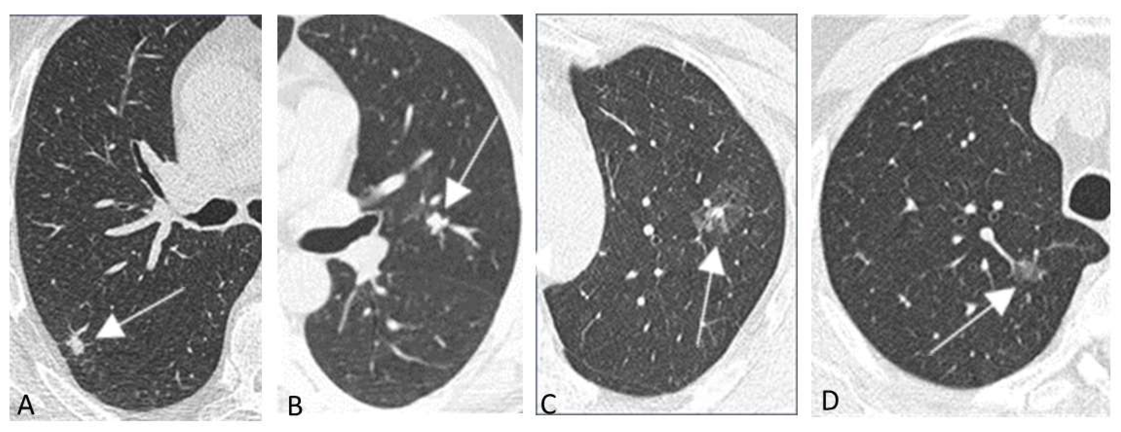 Diagnostics 12 02326 g001