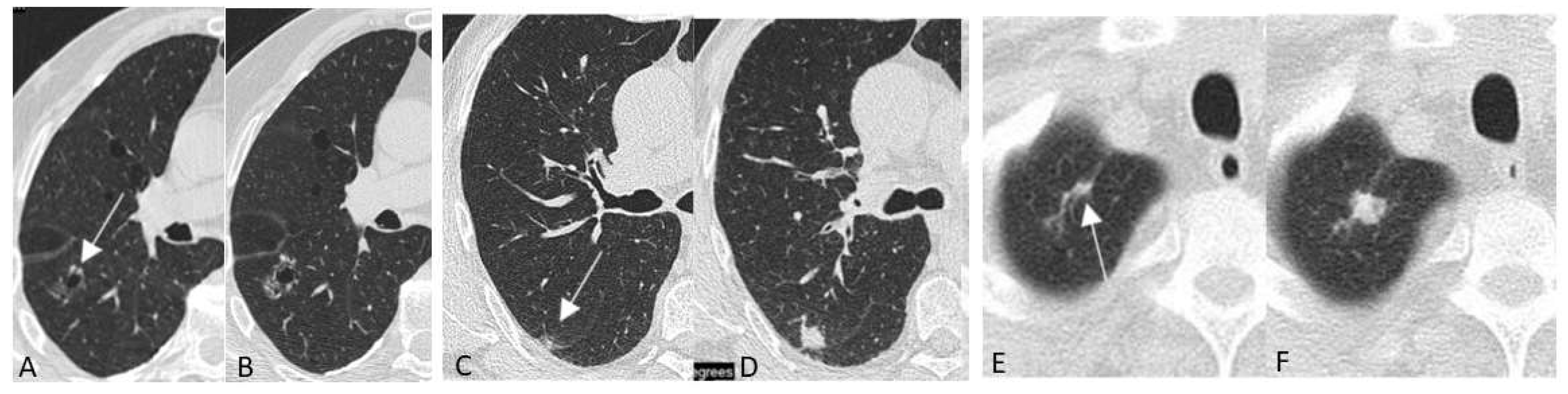 Diagnostics 12 02326 g002