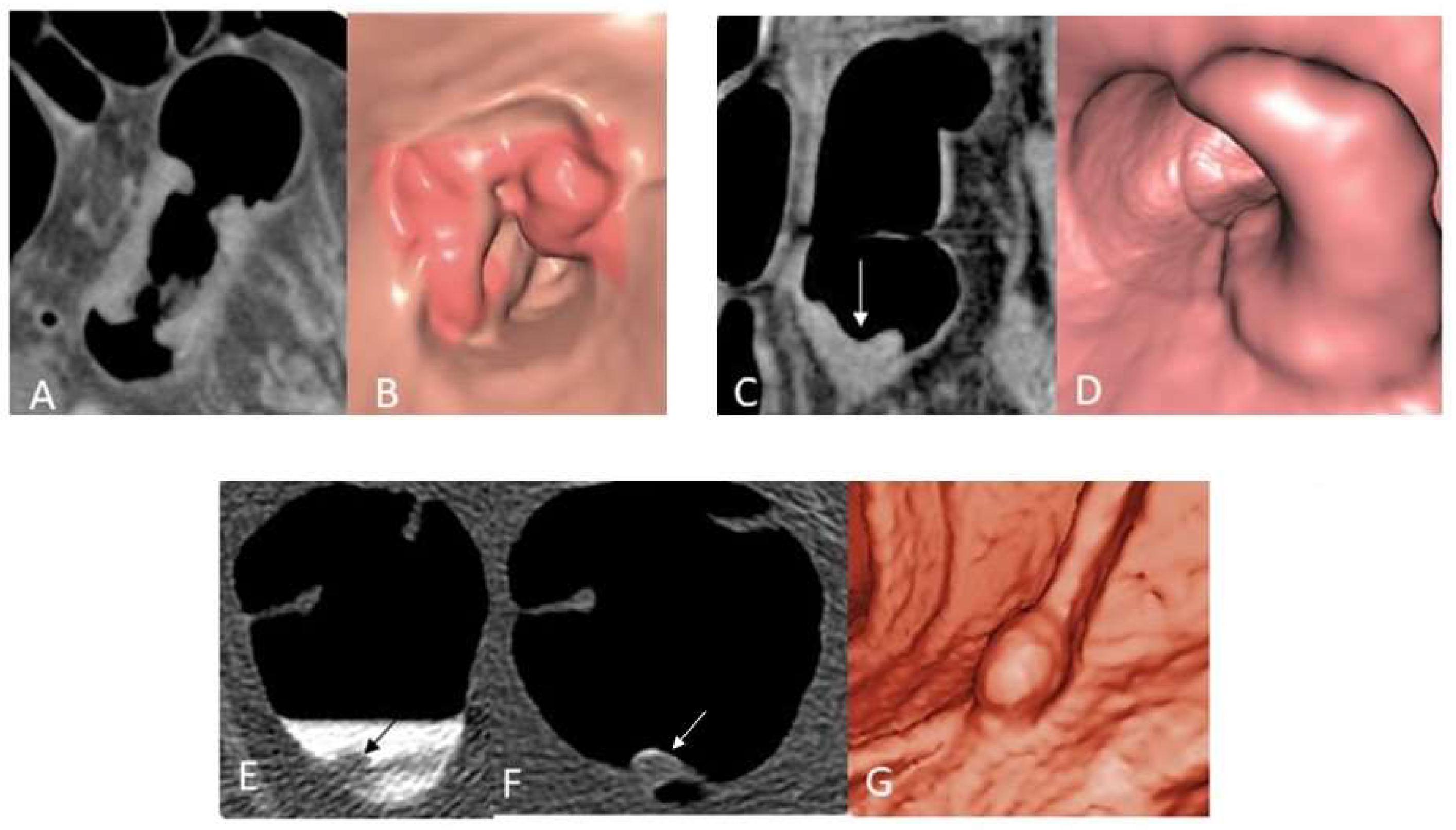 Diagnostics 12 02326 g003