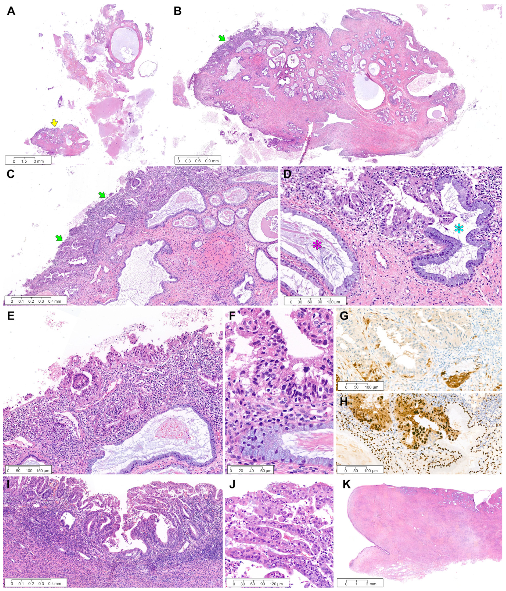 Diagnostics 12 02339 g004
