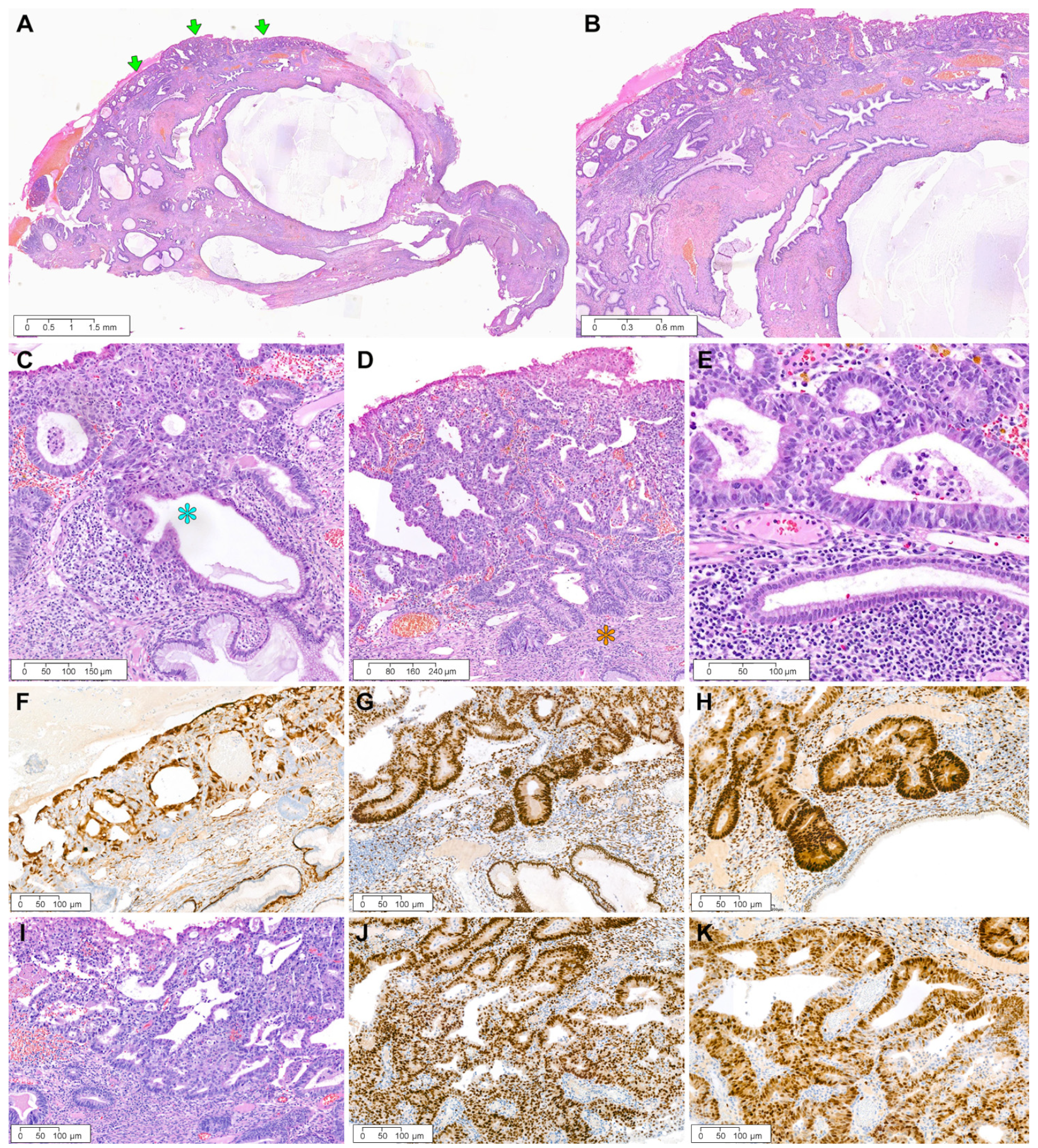 Diagnostics 12 02339 g005