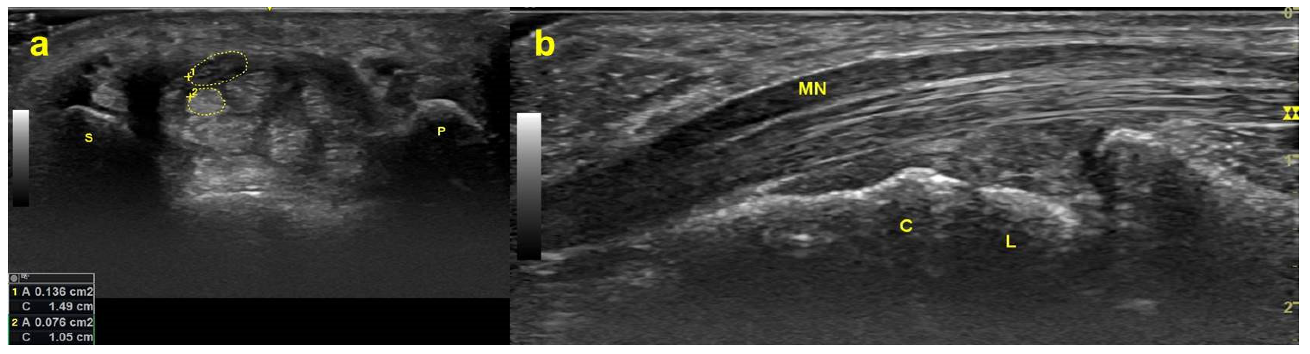 Diagnostics 12 02349 g001