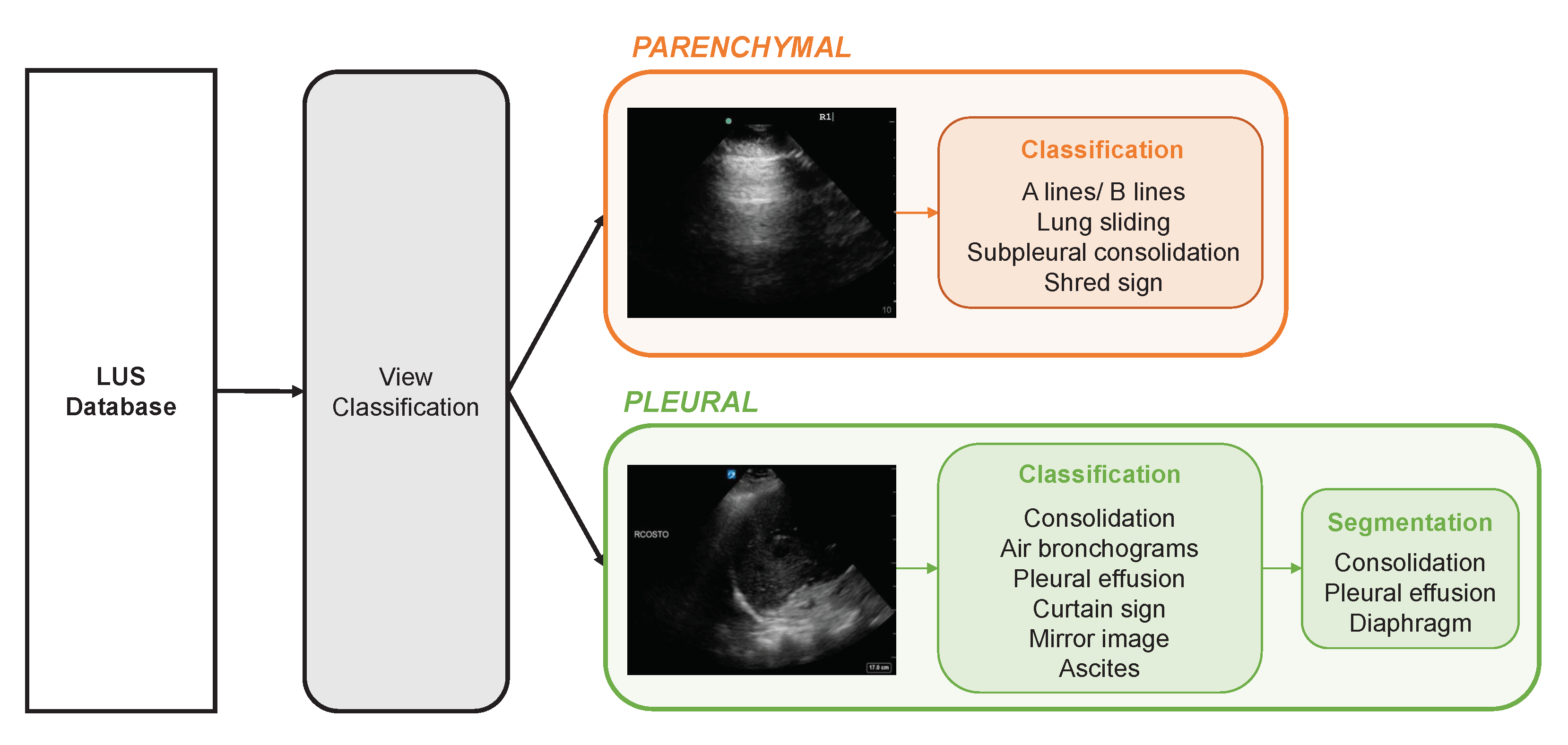 Diagnostics 12 02351 g001