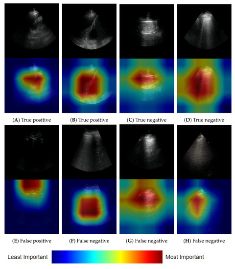 Diagnostics 12 02351 g0a1