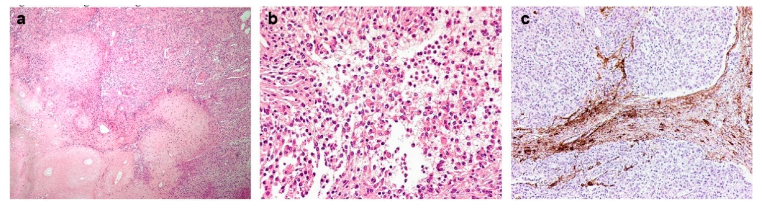 Diagnostics 12 02367 g002