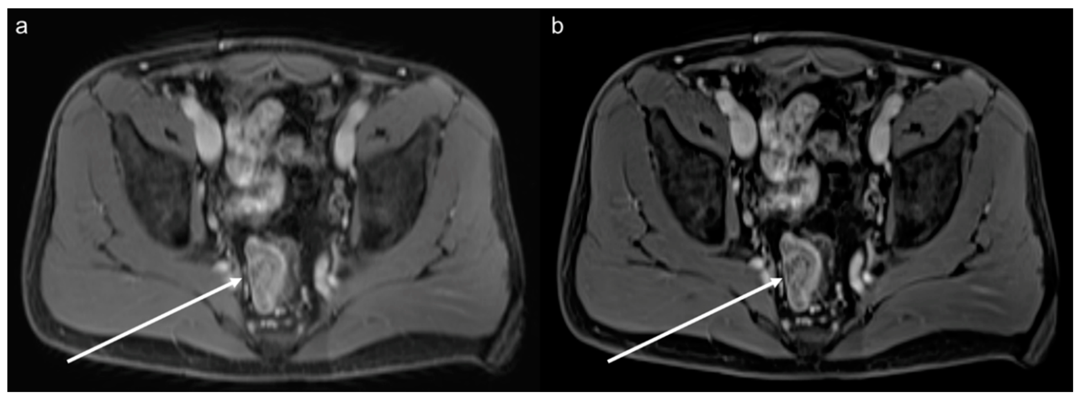 Diagnostics 12 02370 g003