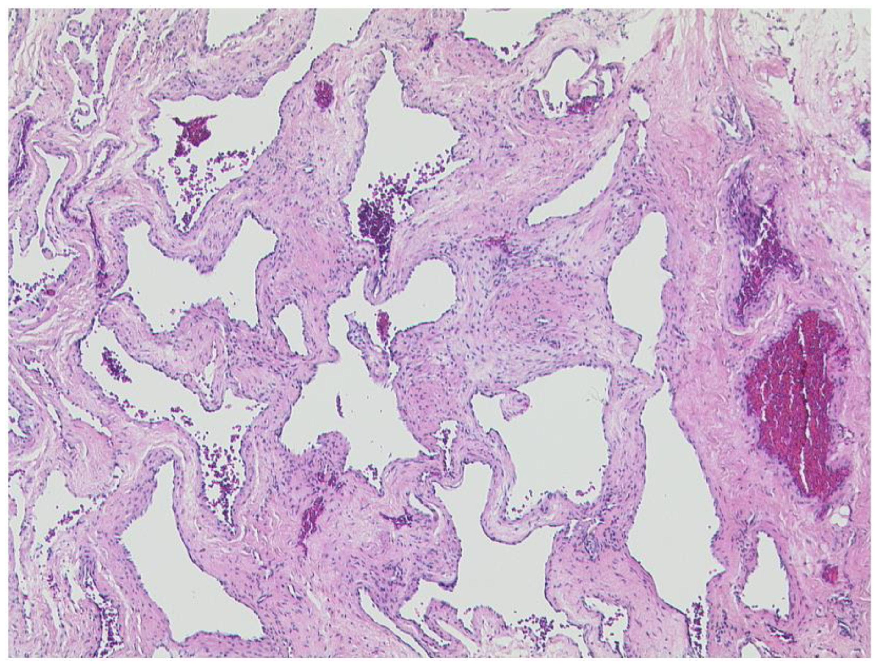 Diagnostics 12 02376 g006